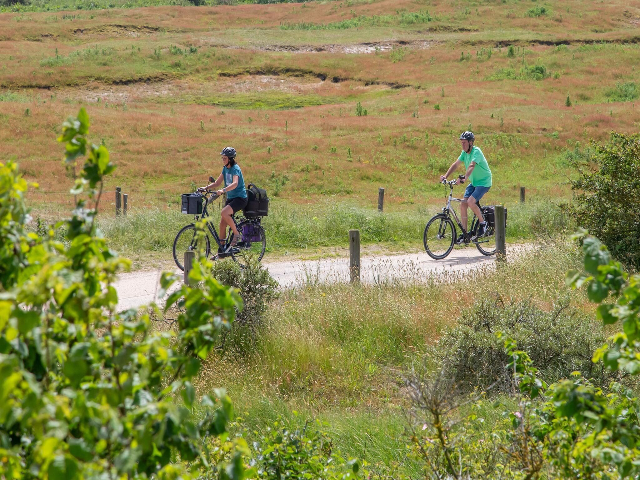 De omgeving van Vakantiewoning - Horizon 14  Renesse in Renesse