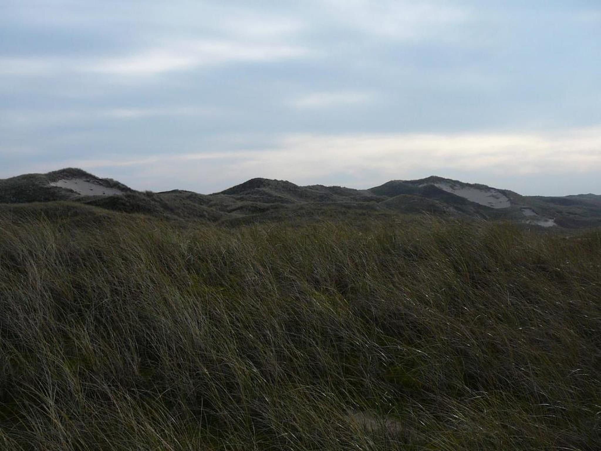 Vakantiepark Duynzicht 2 in Julianadorp aan zee - Foto 28 van 40