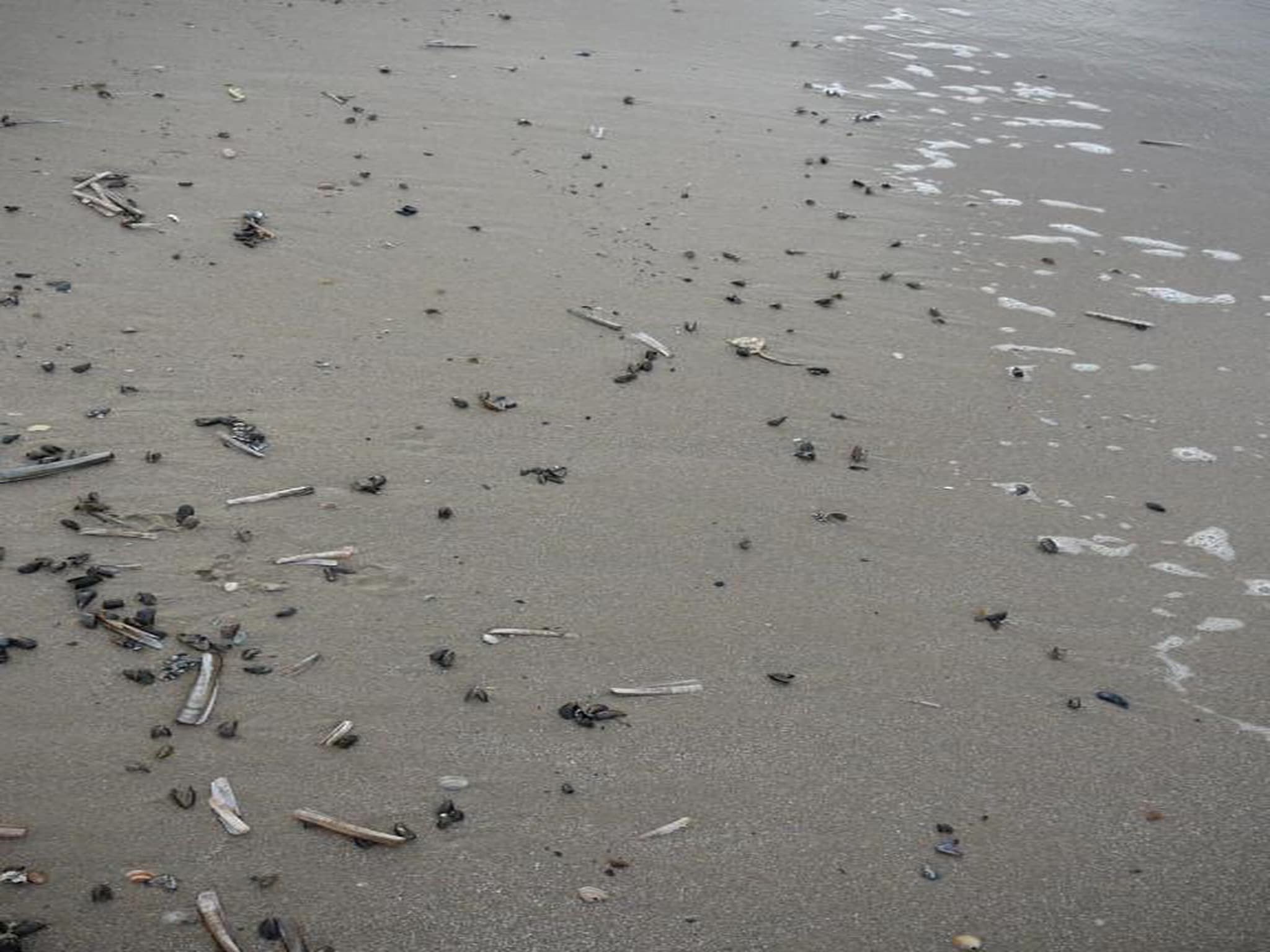 Vakantiepark Duynzicht 2 in Julianadorp aan zee - Foto 15 van 40