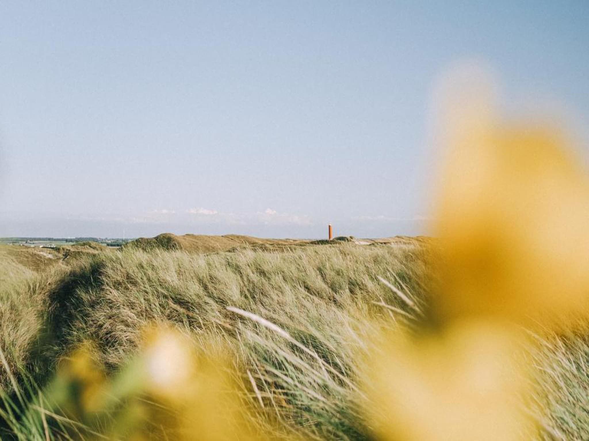 Vakantiepark Duynzicht 3 in Julianadorp aan zee - Foto 22 van 41