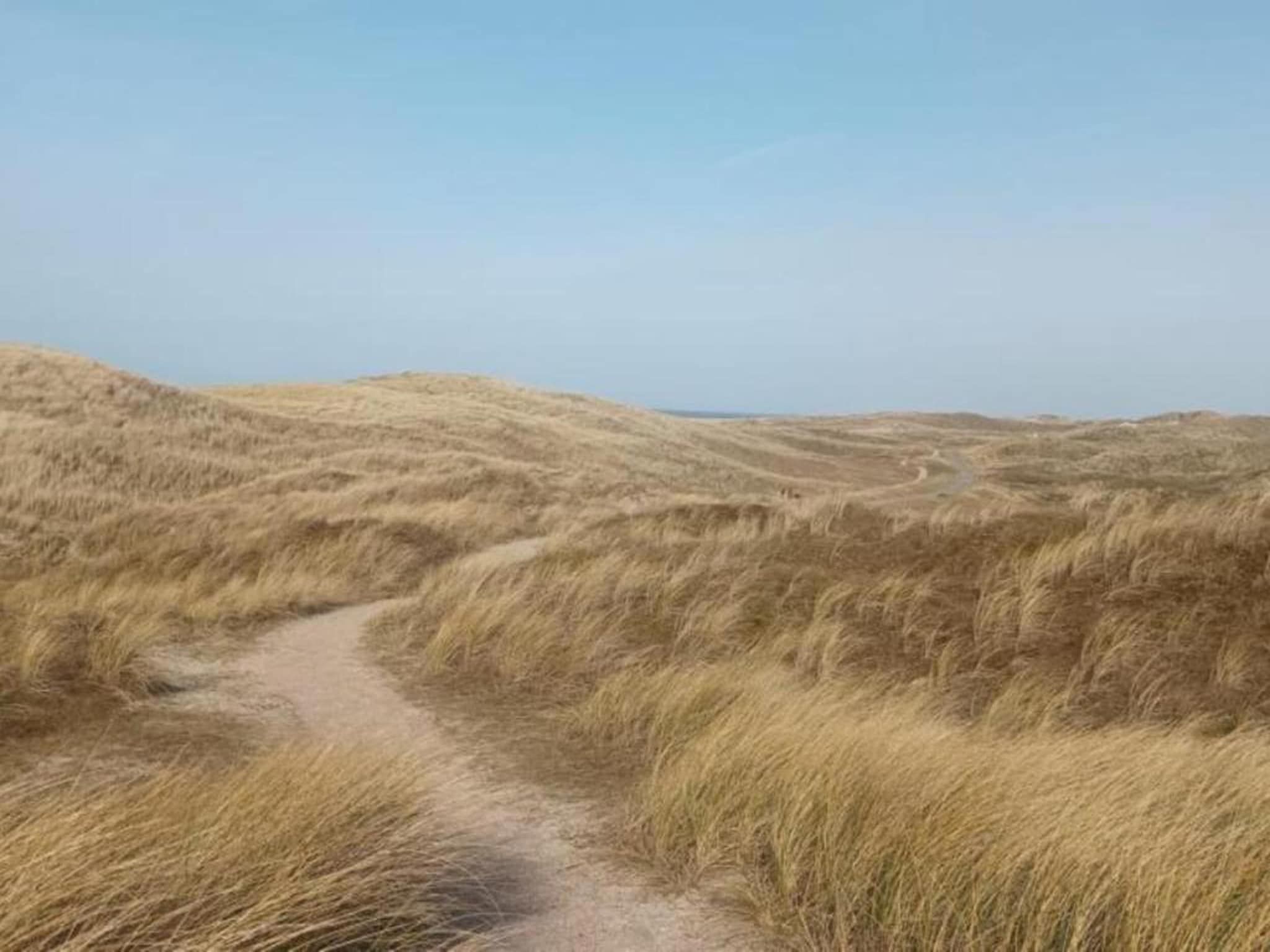 Vakantiepark Duynzicht 3 in Julianadorp aan zee - Foto 15 van 41
