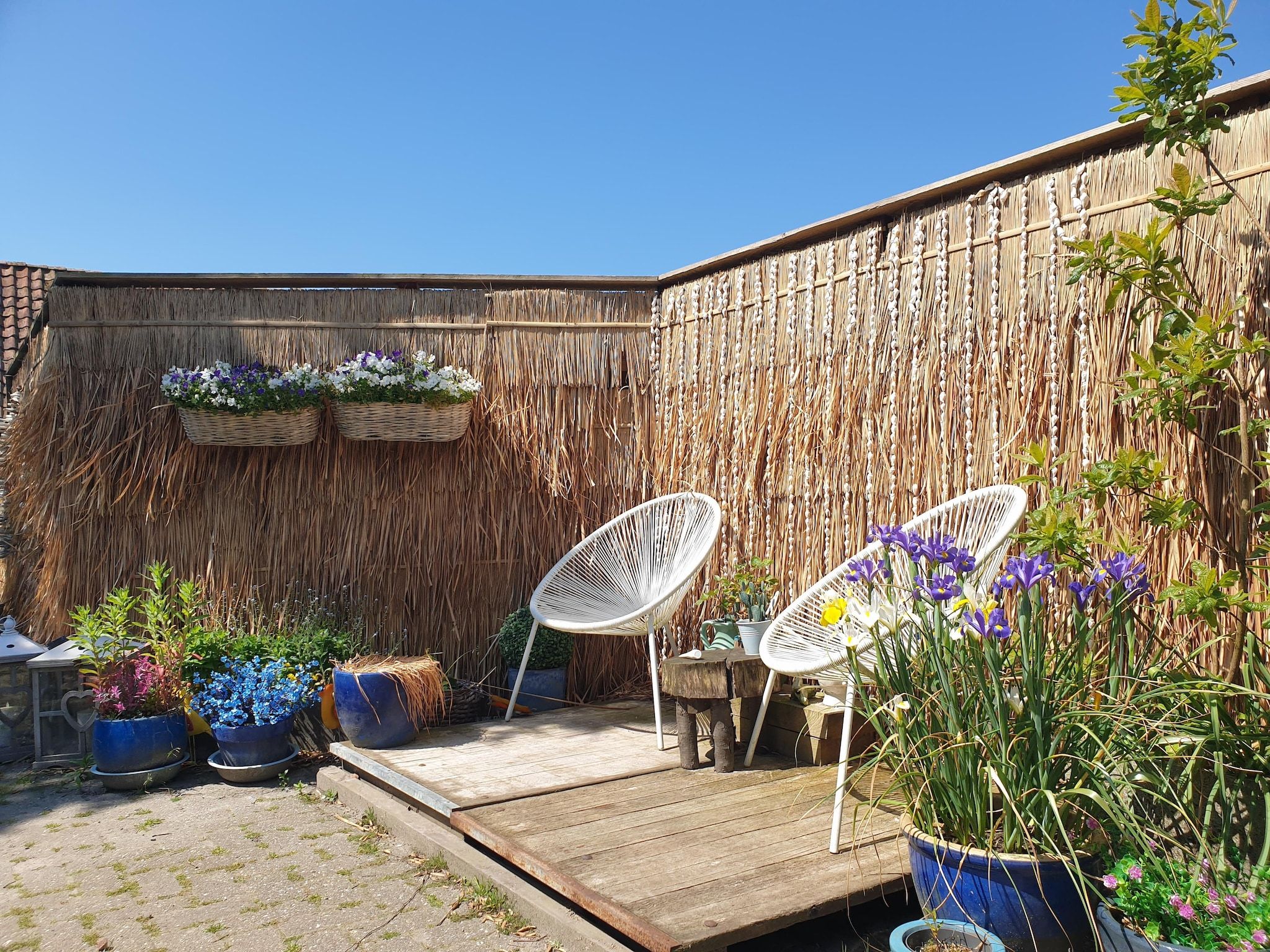 De tuin van 13-17 pax holiday home with separated apartments and gardens in Ternaard