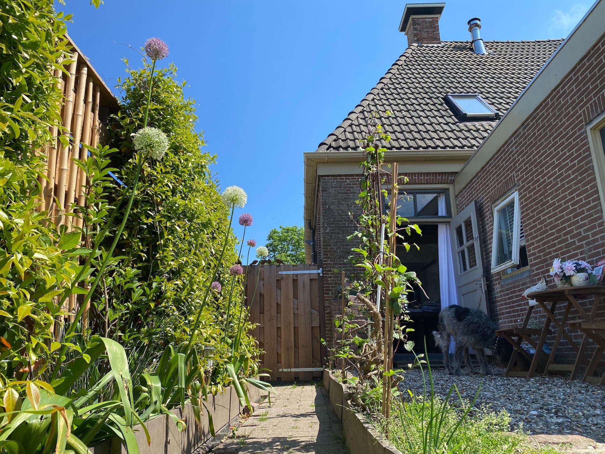 De tuin van 13-17 pax holiday home with separated apartments and gardens in Ternaard