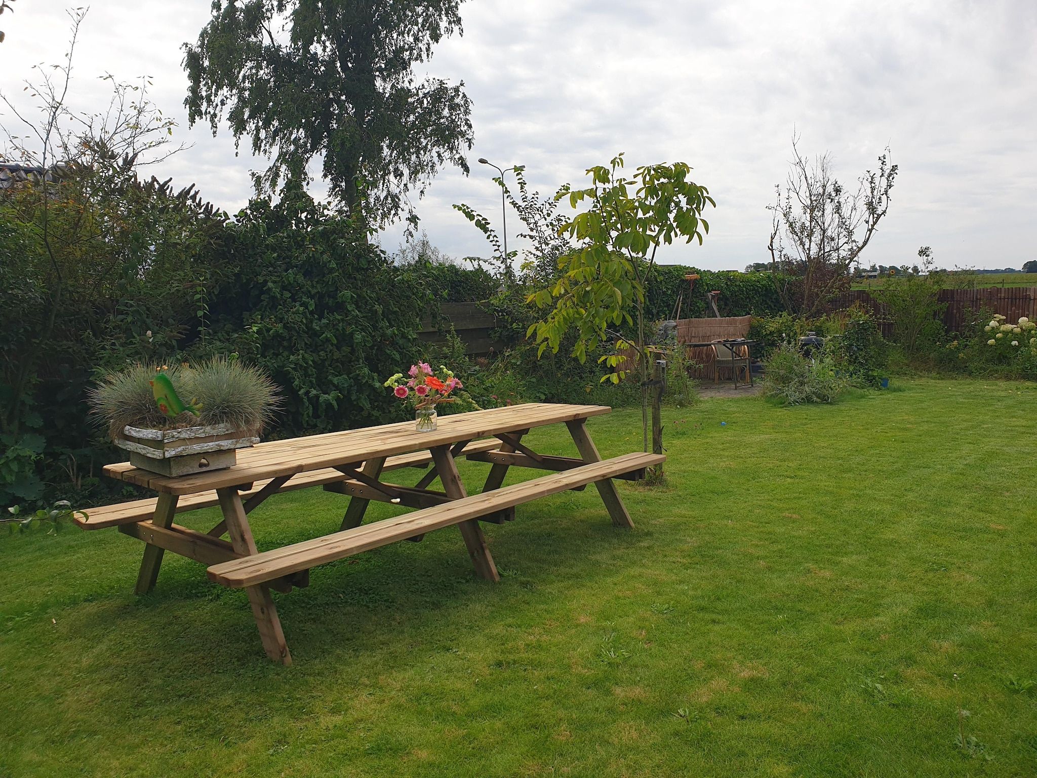 De tuin van 13-17 pax holiday home with separated apartments and gardens in Ternaard