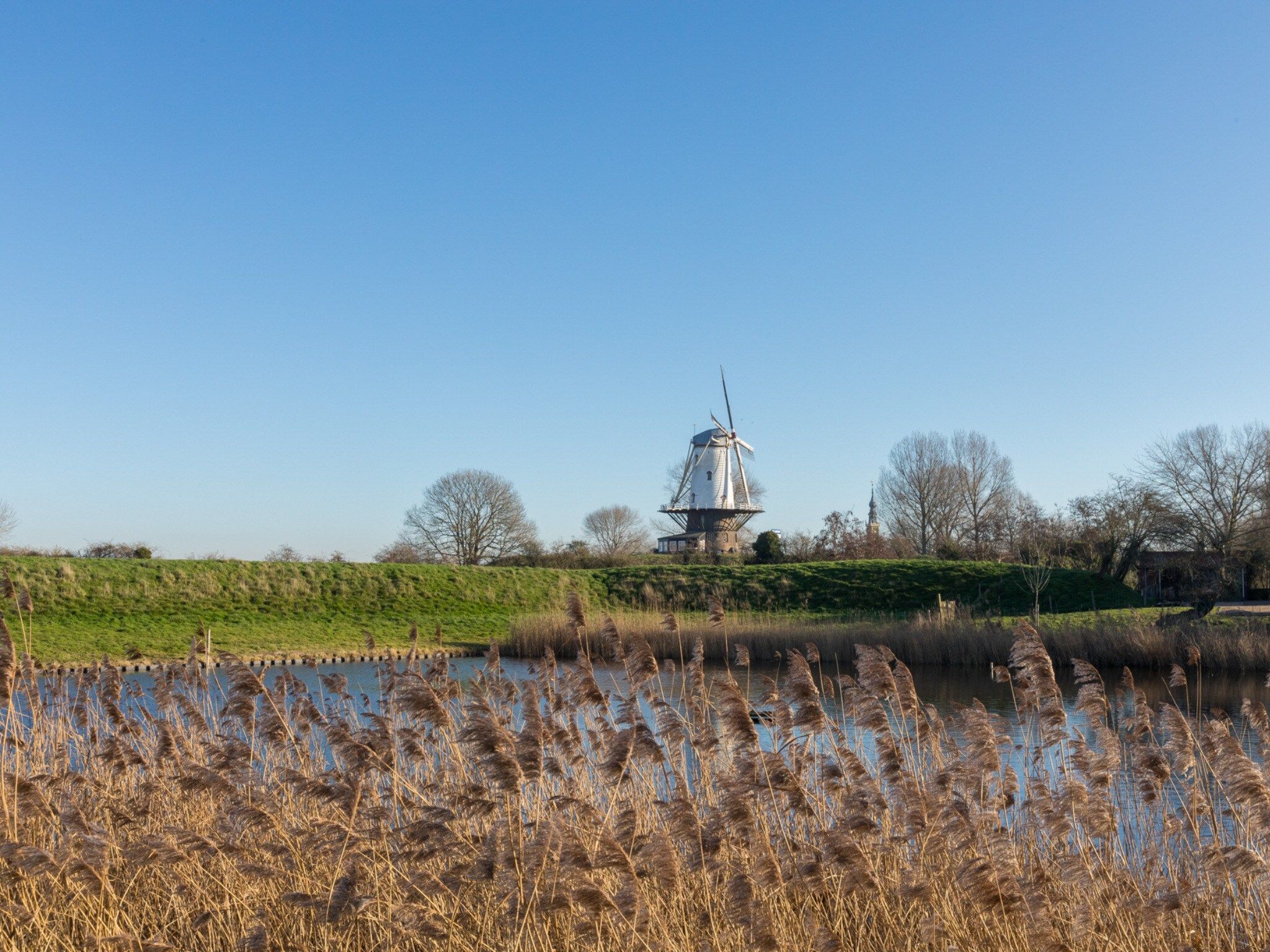 De omgeving van Nescio in Veere