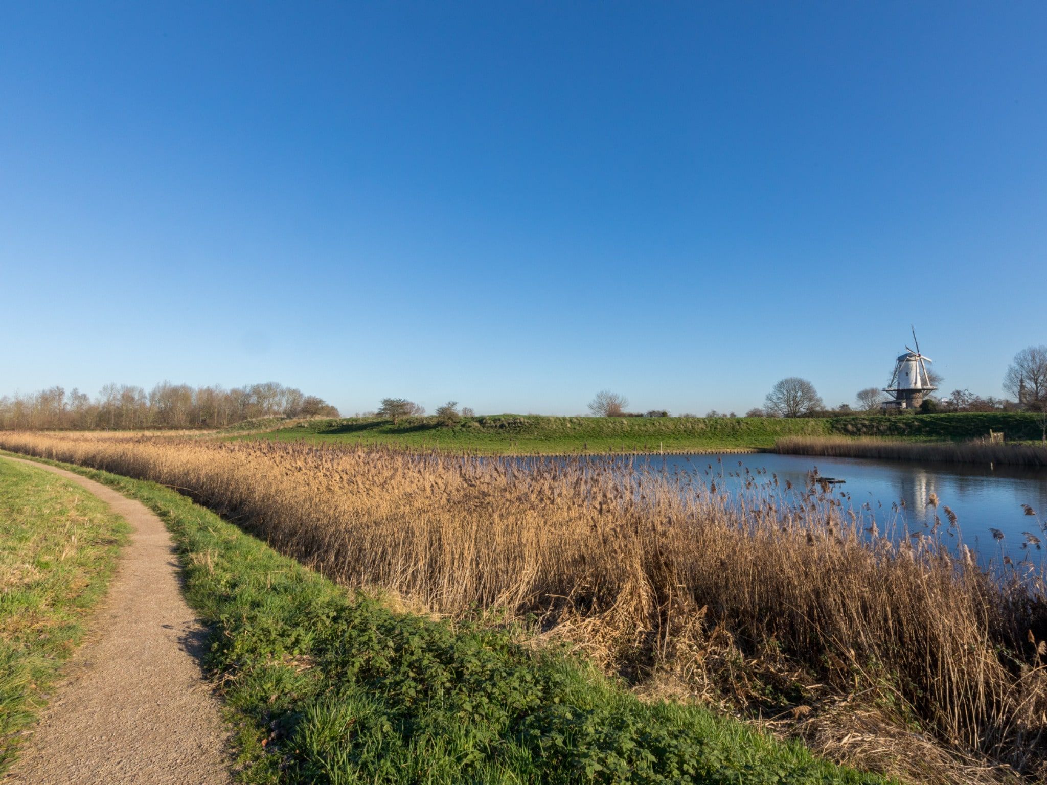 De omgeving van Nescio in Veere