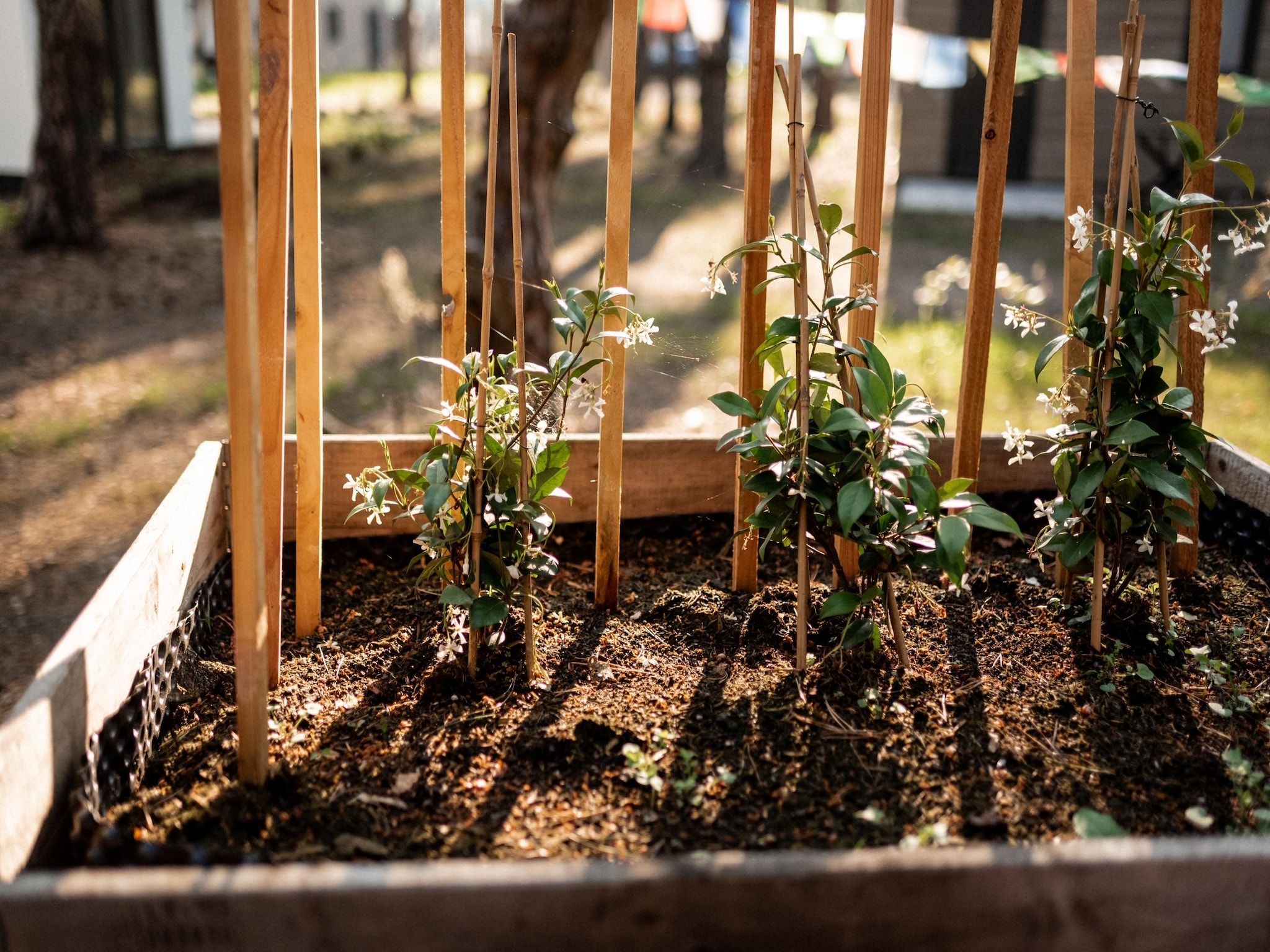 Sfeerbeeld van Park Haarle in Haarle