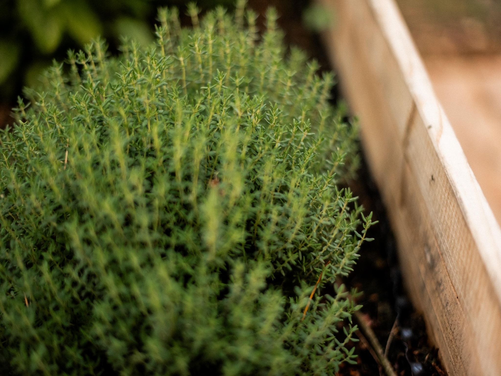 Sfeerbeeld van Park Haarle in Haarle
