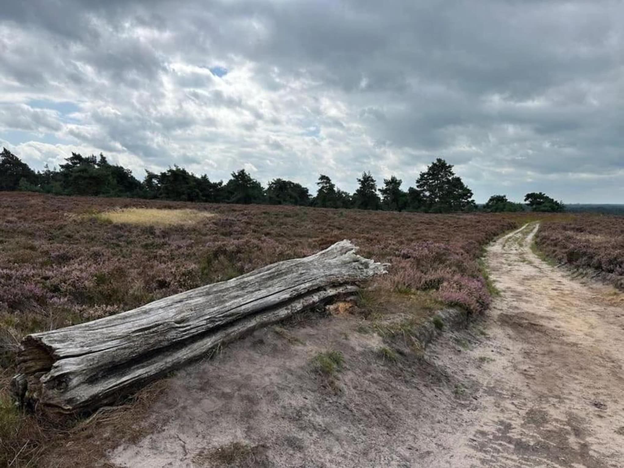 De omgeving van Park Haarle in Haarle
