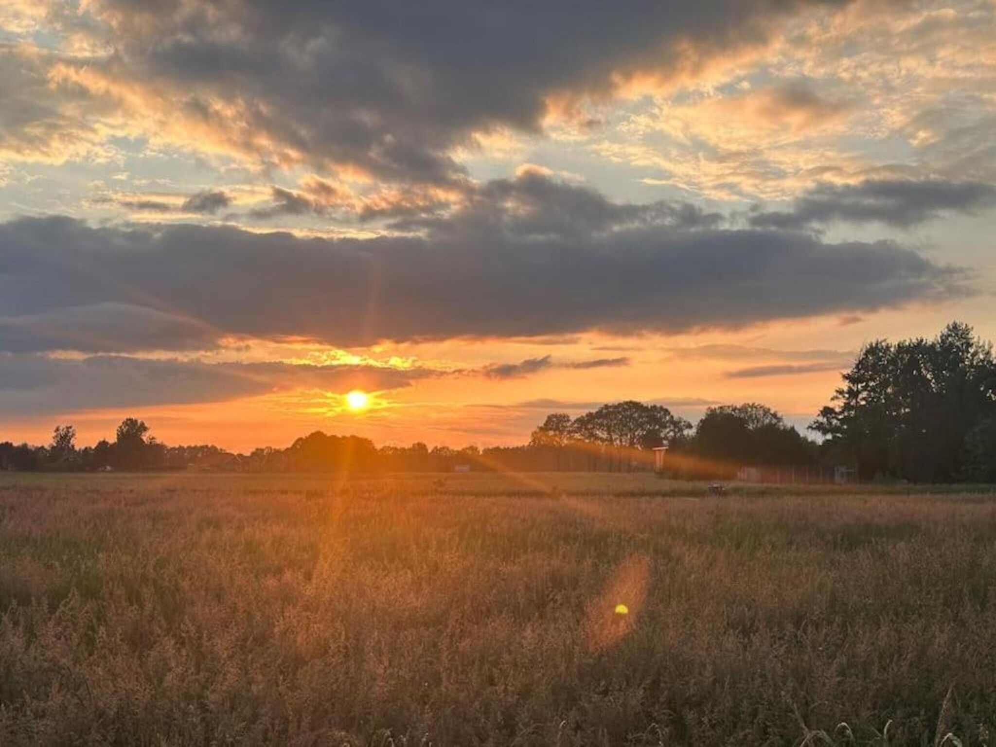 De omgeving van Park Haarle in Haarle