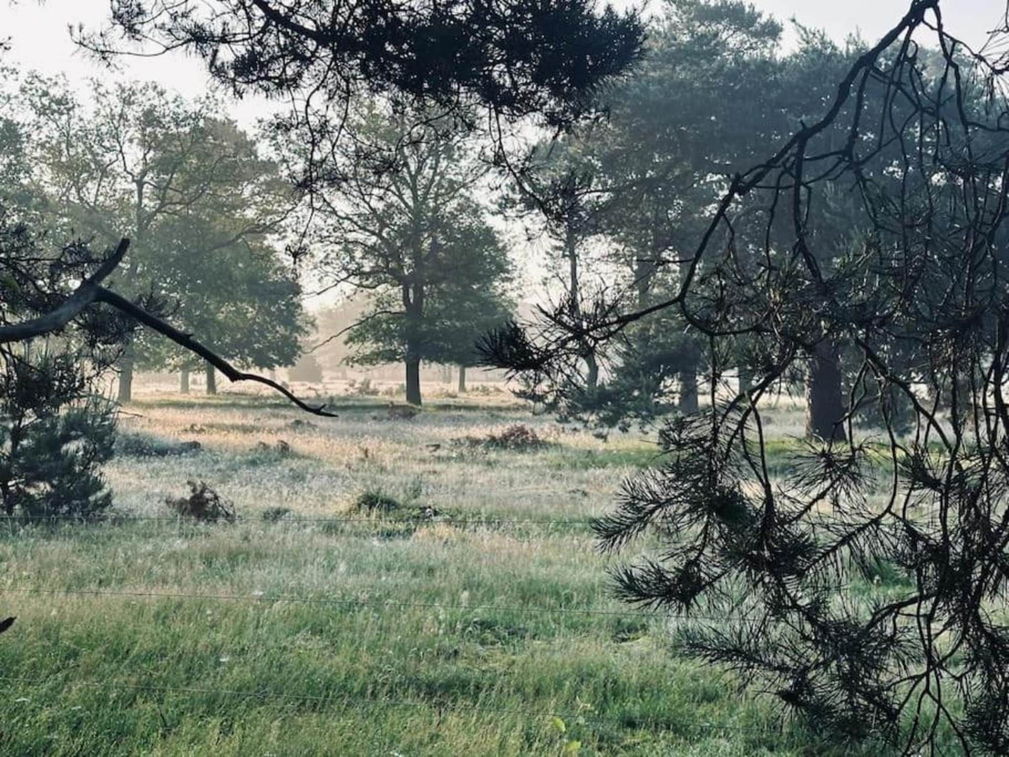 De omgeving van Park Haarle in Haarle