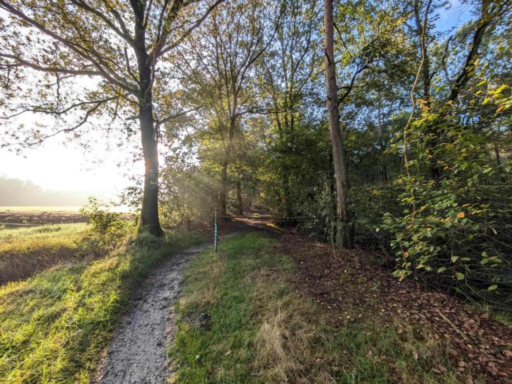 De omgeving van Park Haarle in Haarle