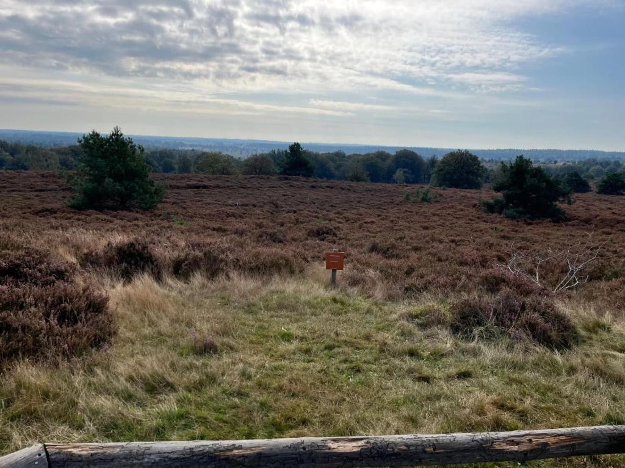 De omgeving van Park Haarle in Haarle