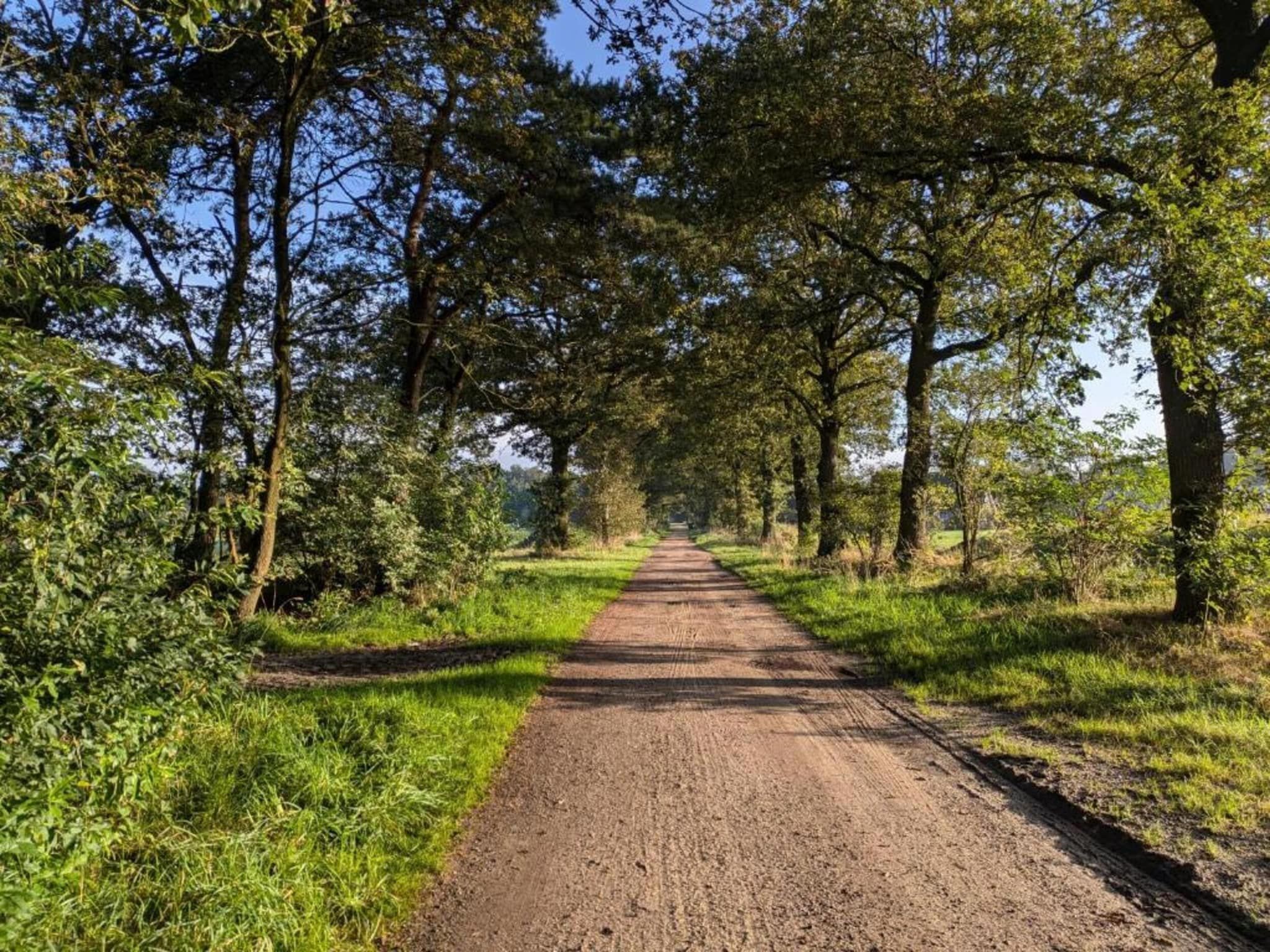 De omgeving van Park Haarle in Haarle