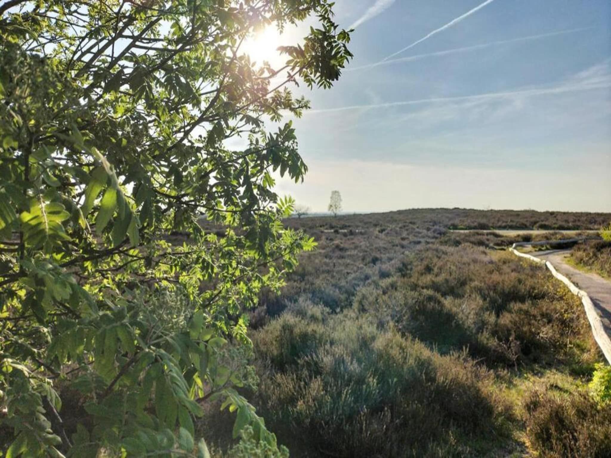 De omgeving van Park Haarle in Haarle