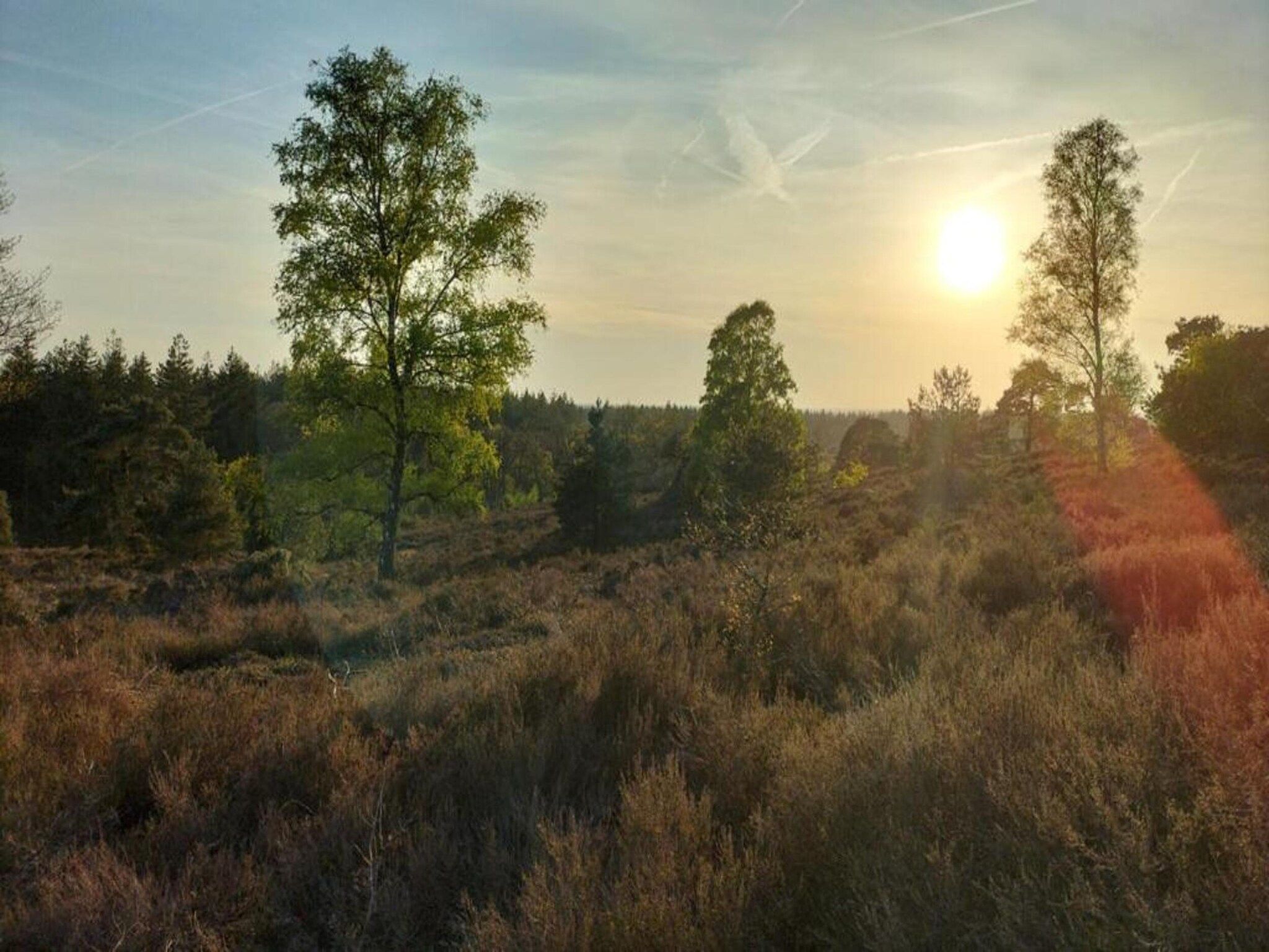 De omgeving van Park Haarle in Haarle