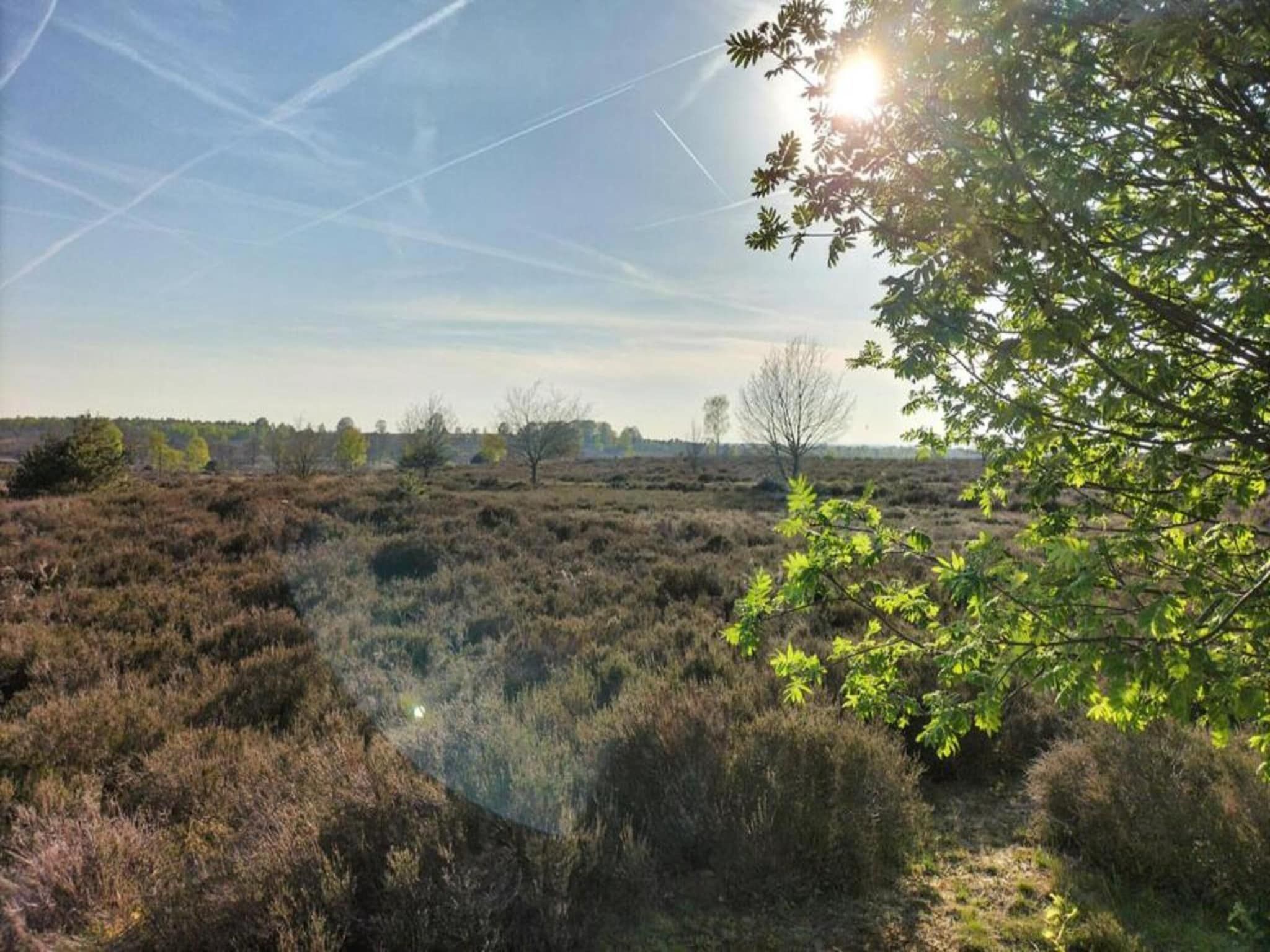 De omgeving van Park Haarle in Haarle