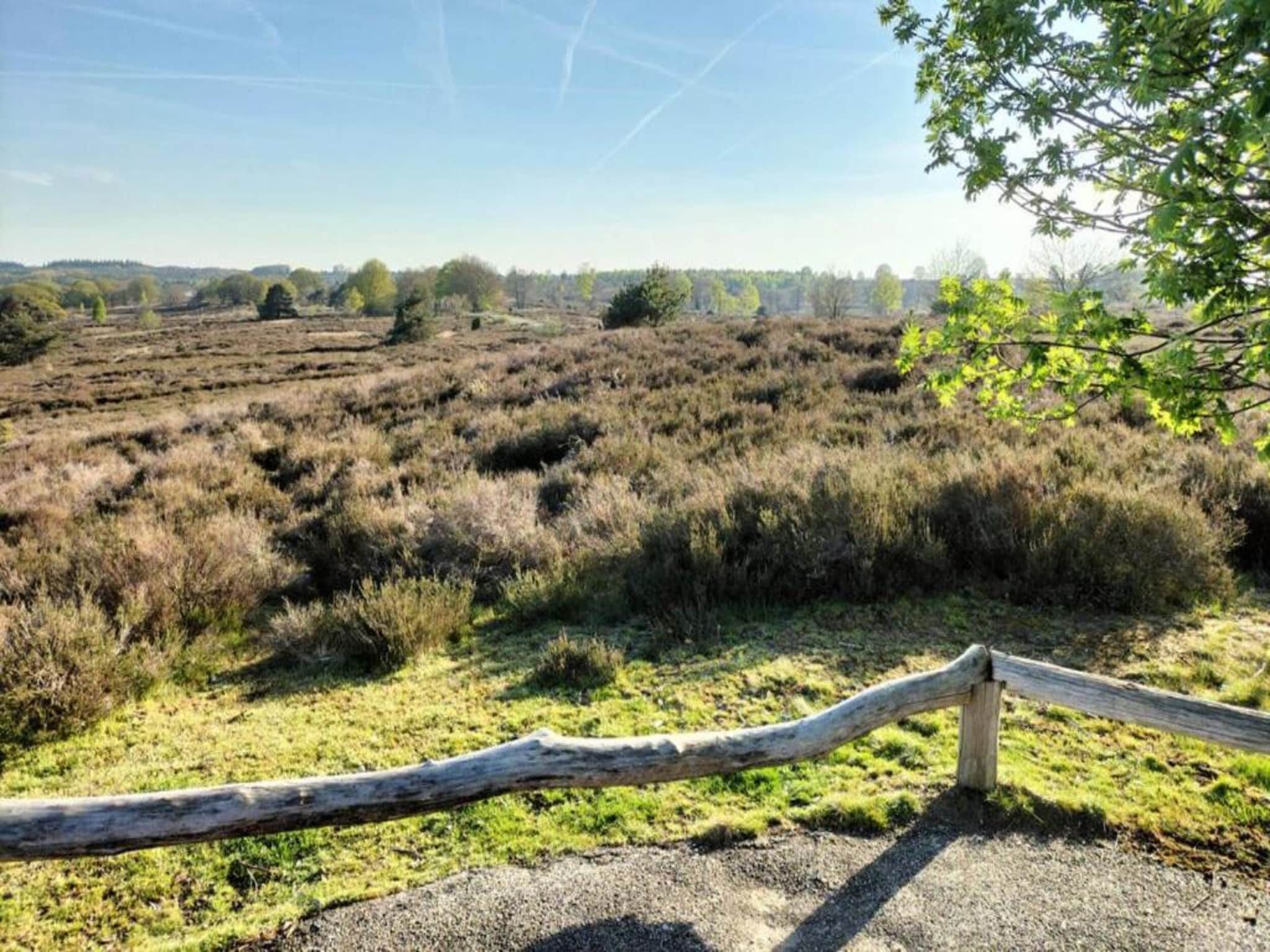 De omgeving van Park Haarle in Haarle