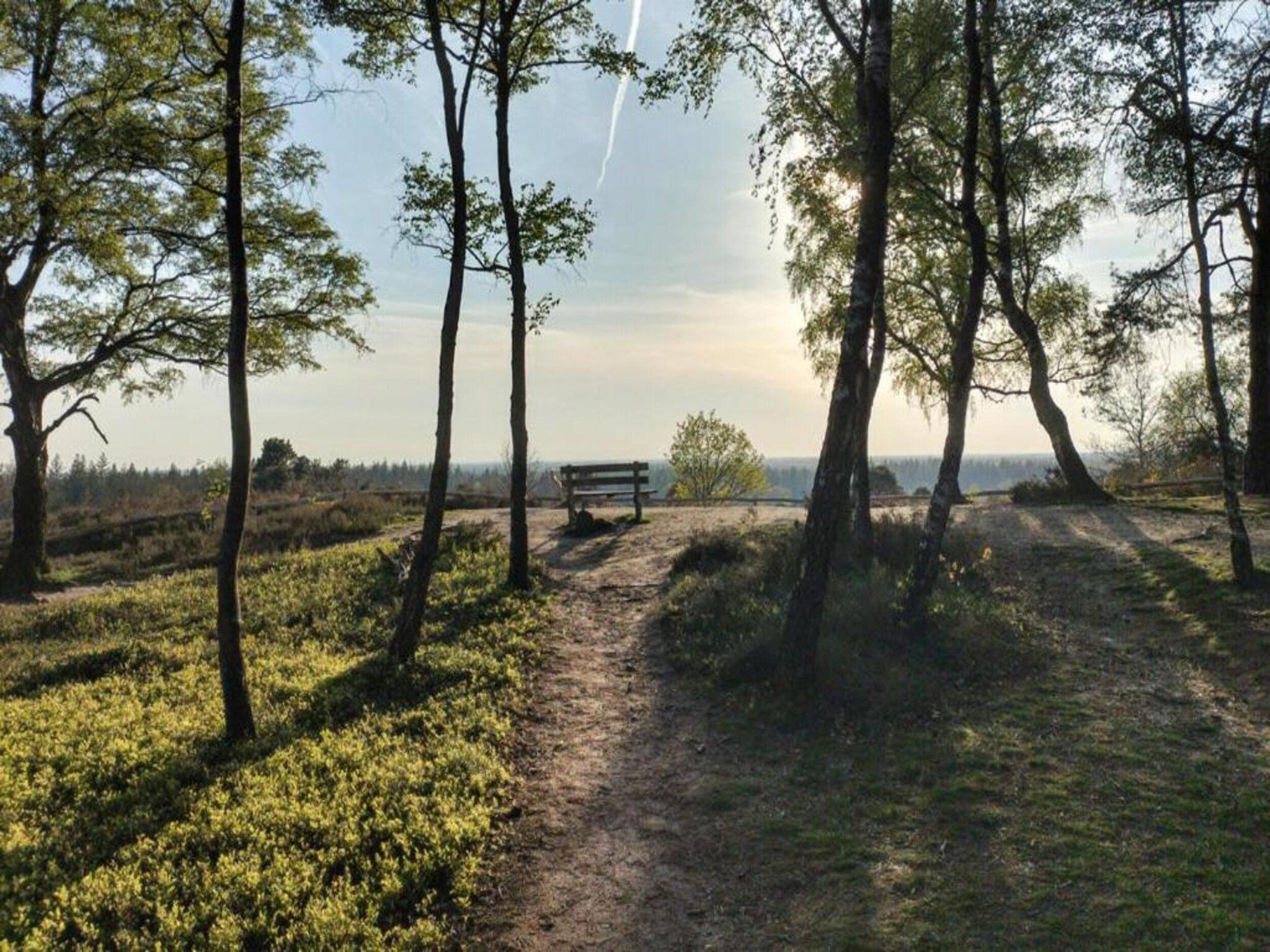 De omgeving van Park Haarle in Haarle