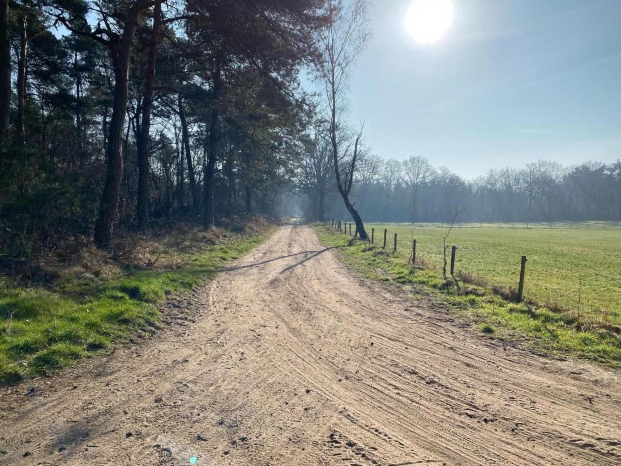De omgeving van Park Haarle in Haarle
