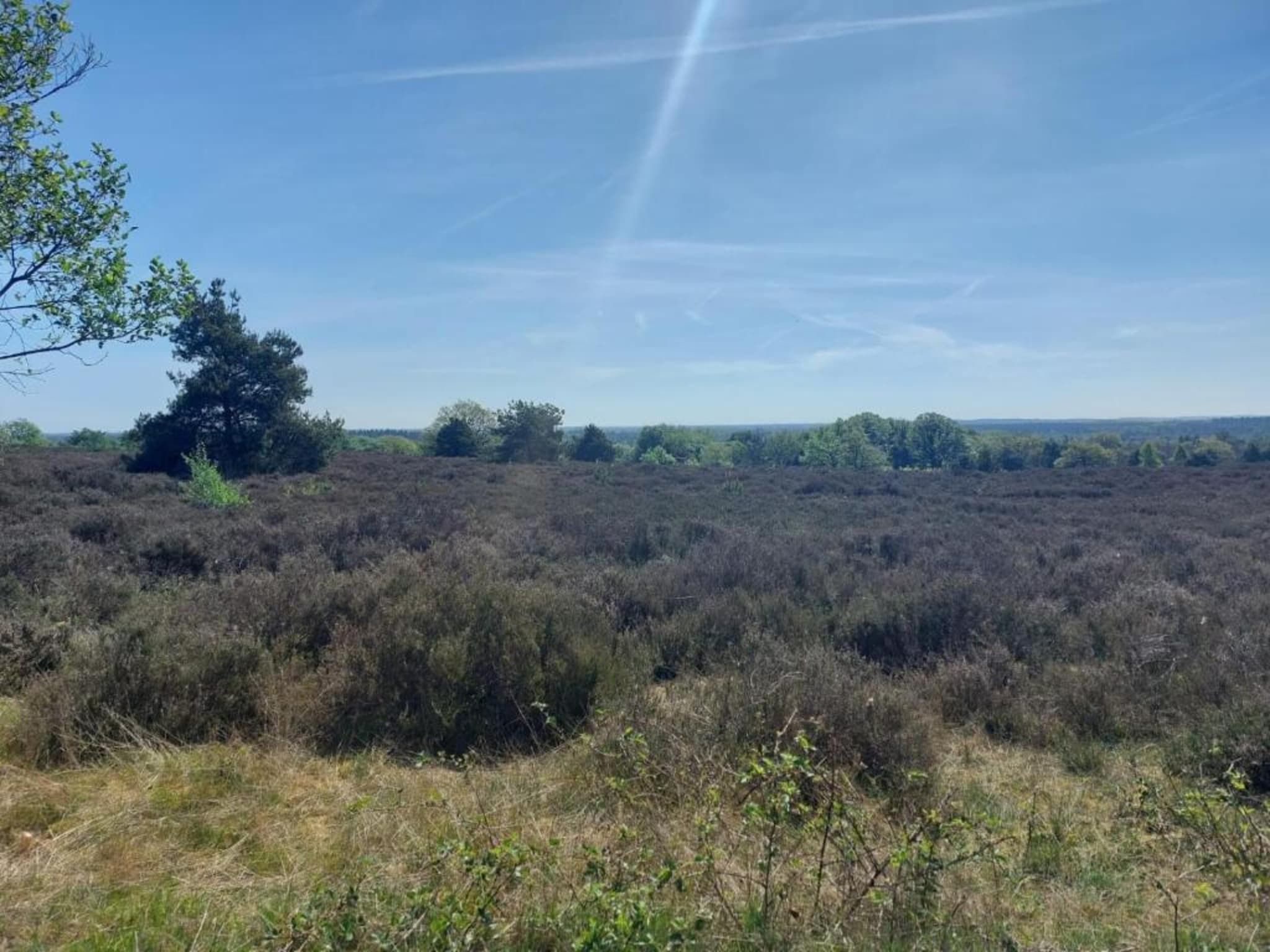 De omgeving van Park Haarle in Haarle