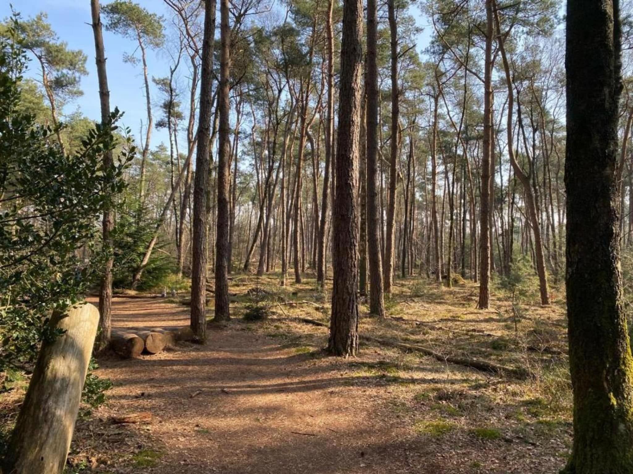 De omgeving van Park Haarle in Haarle