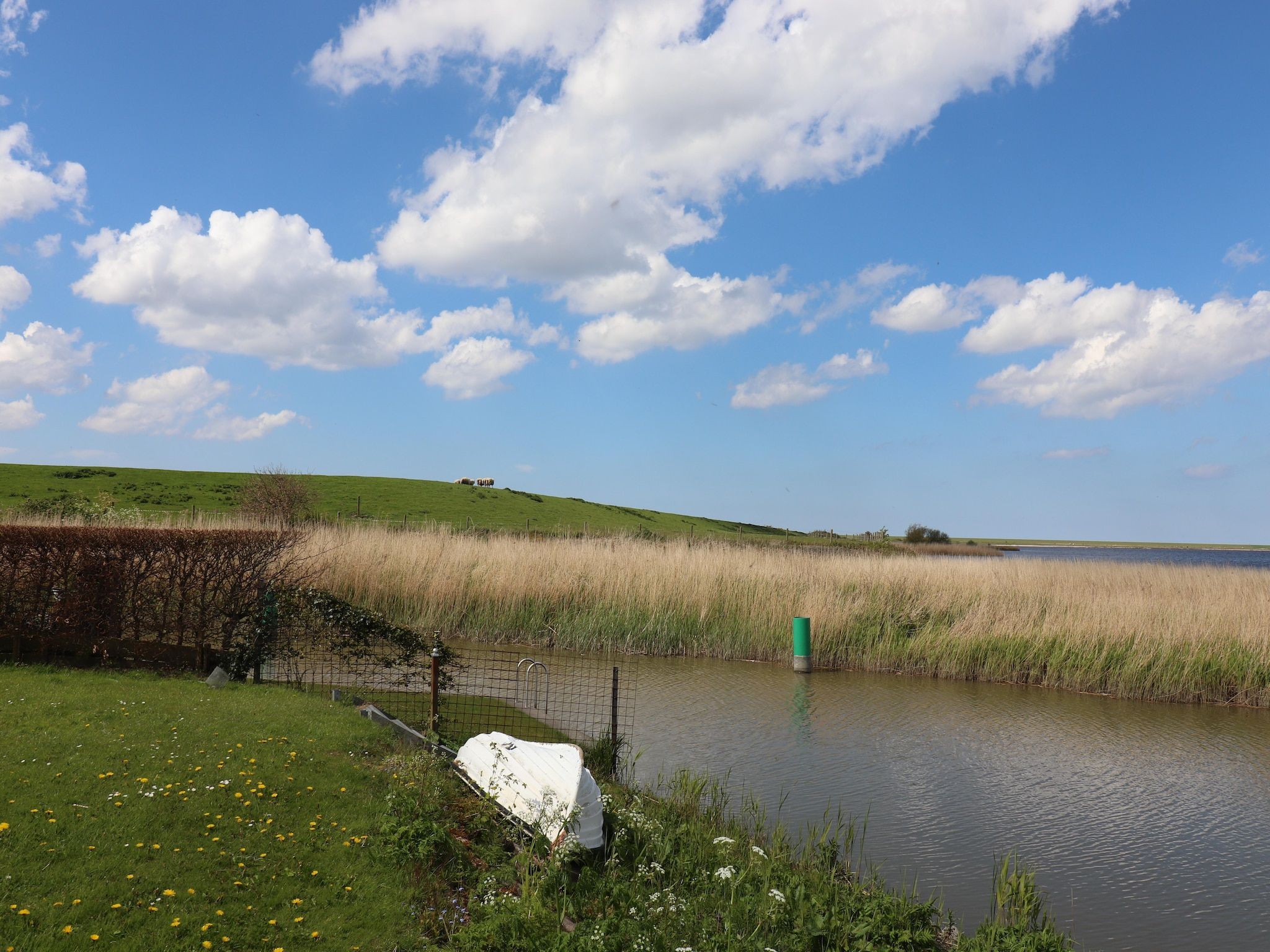 Grote Siege 44 in Anjum - Foto 24 van 40