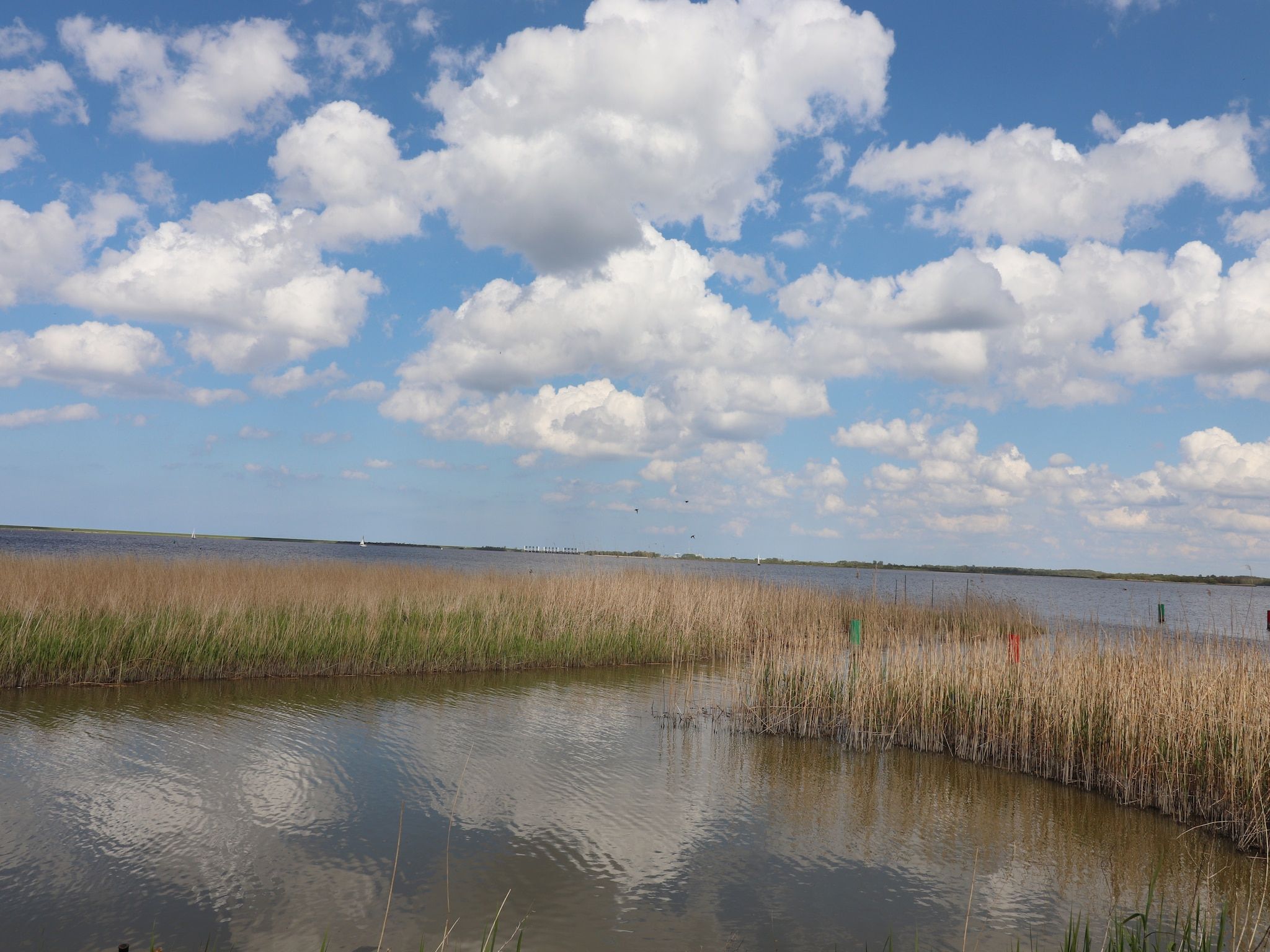 Grote Siege 44 in Anjum - Foto 25 van 40