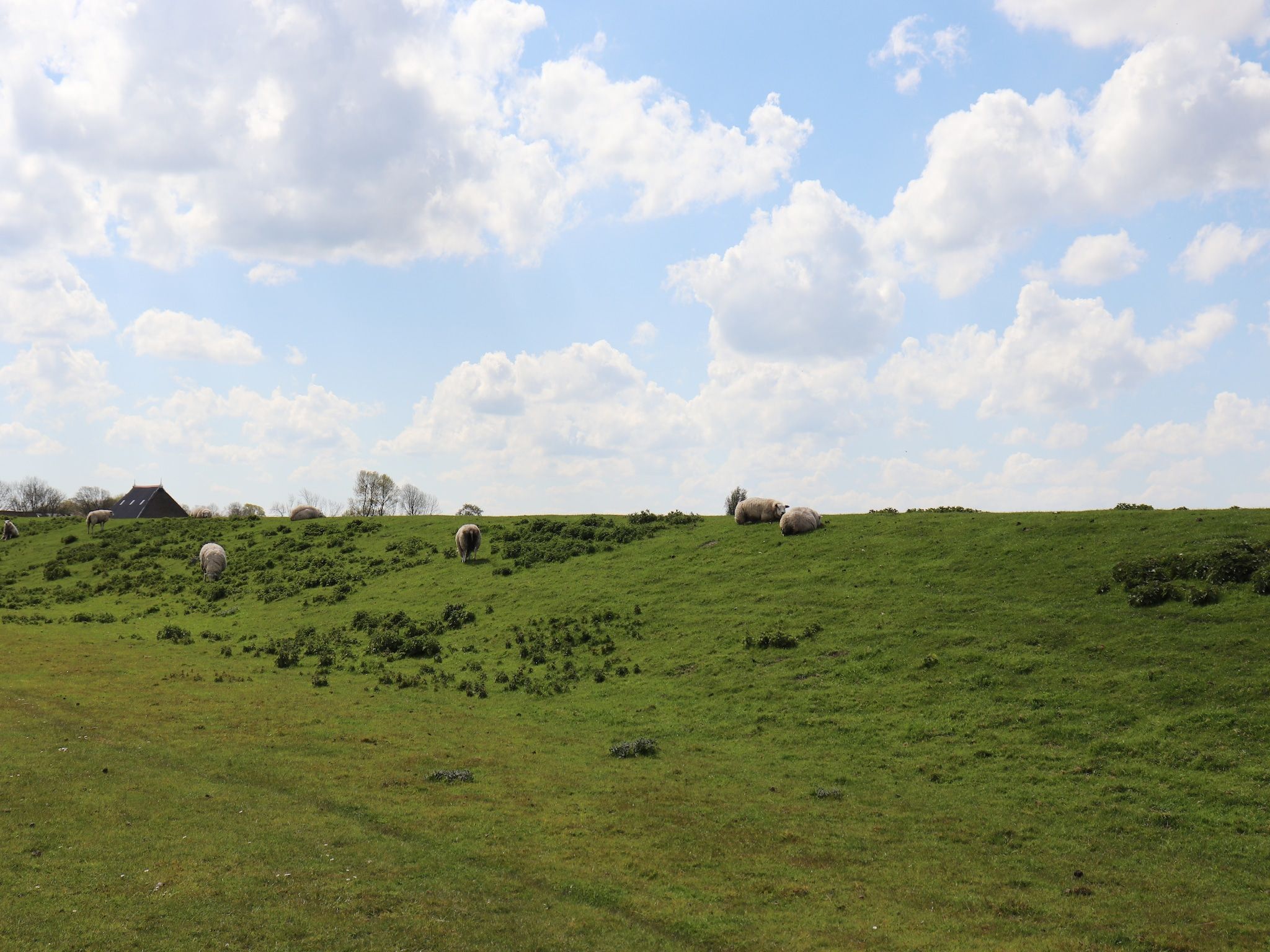 Grote Siege 44 in Anjum - Foto 26 van 40