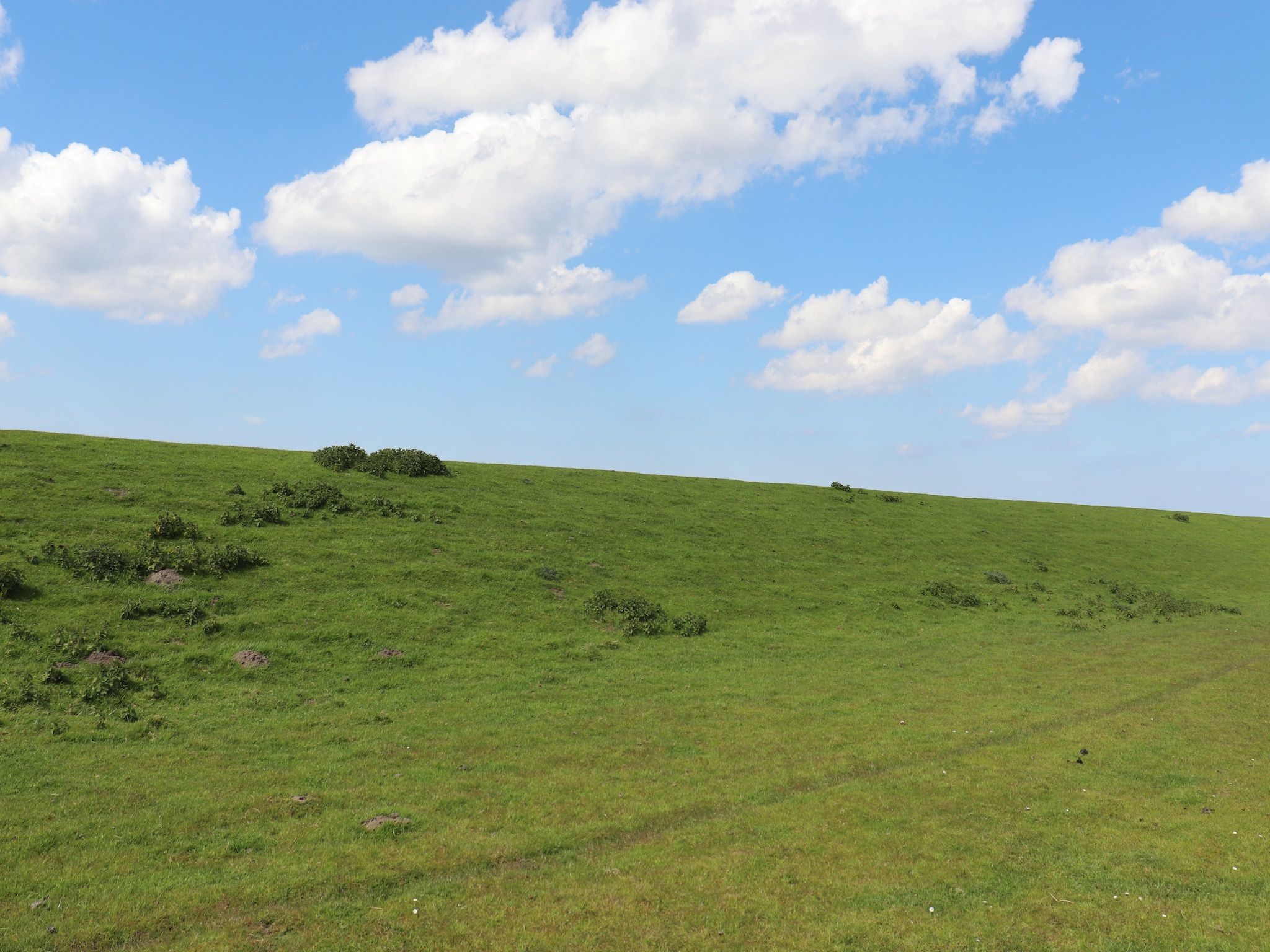 Grote Siege 44 in Anjum - Foto 27 van 40