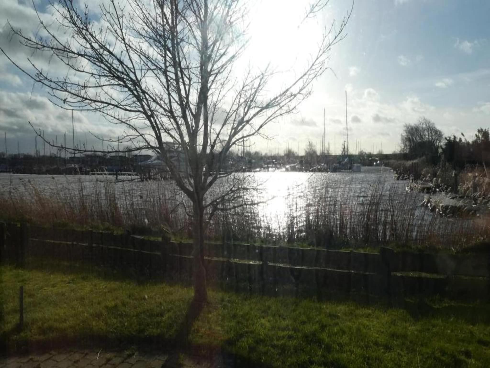 De omgeving van Grote Siege 44 in Anjum