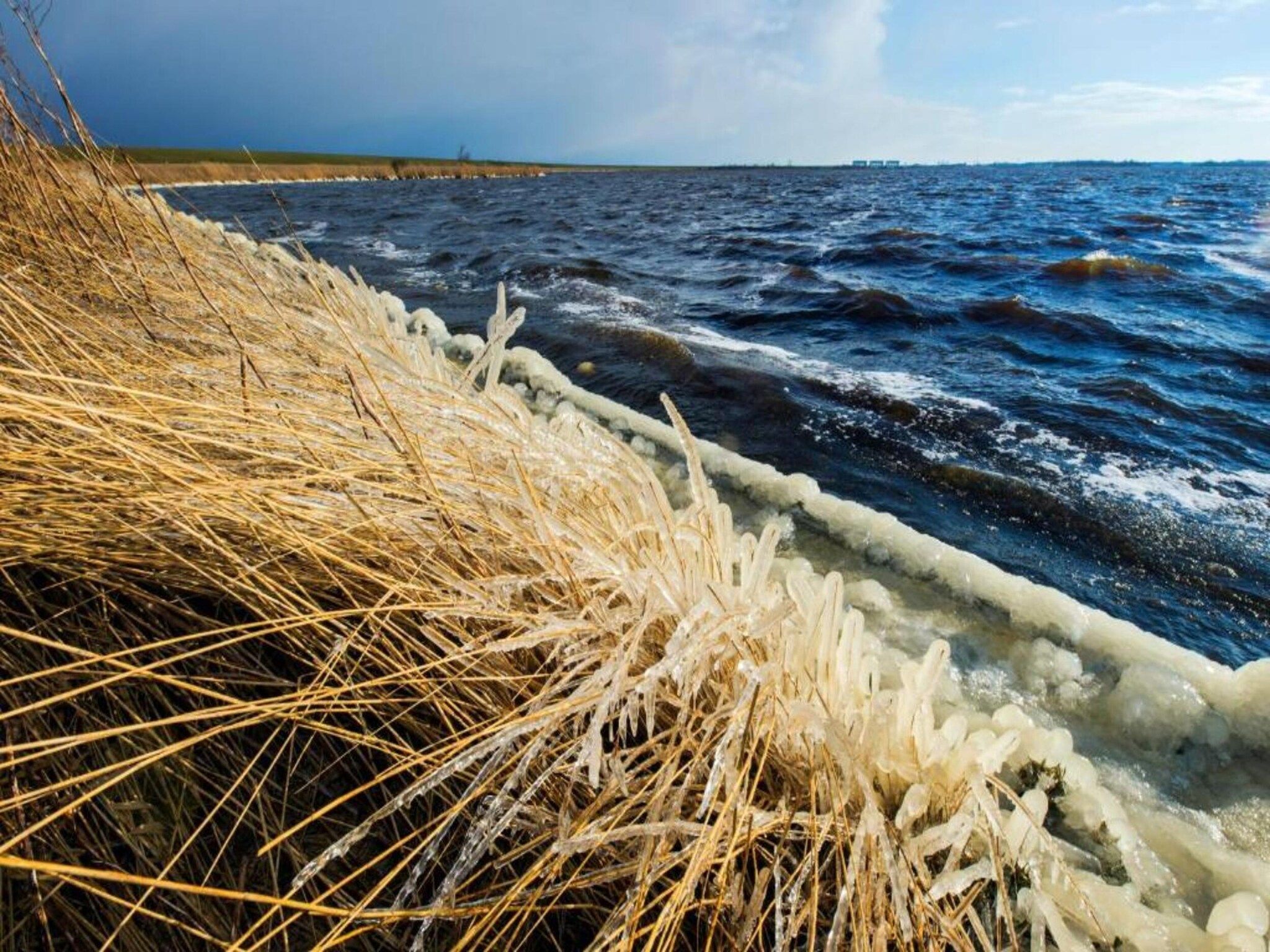 De omgeving van Grote Siege 44 in Anjum