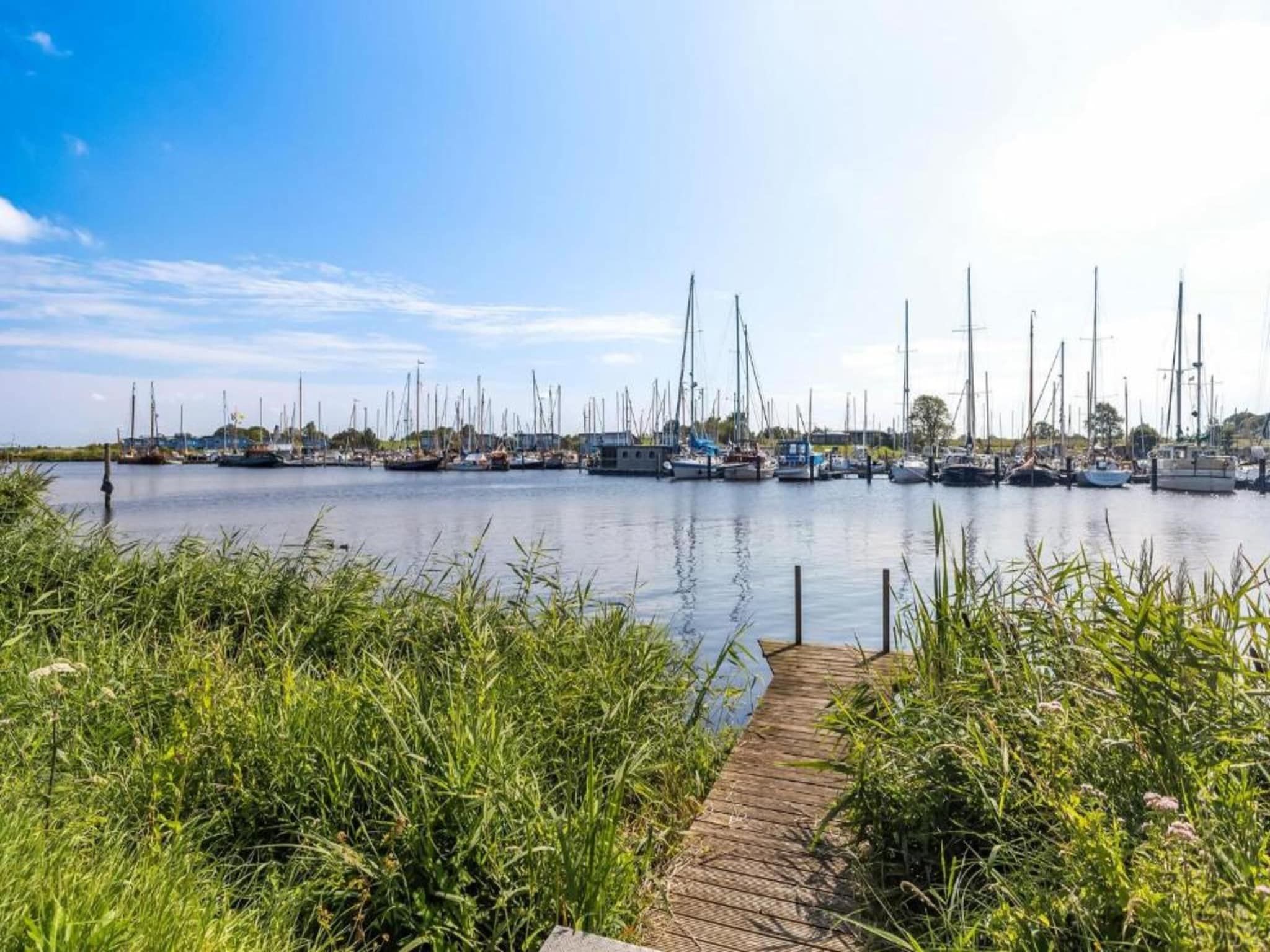 De omgeving van Grote Siege 44 in Anjum