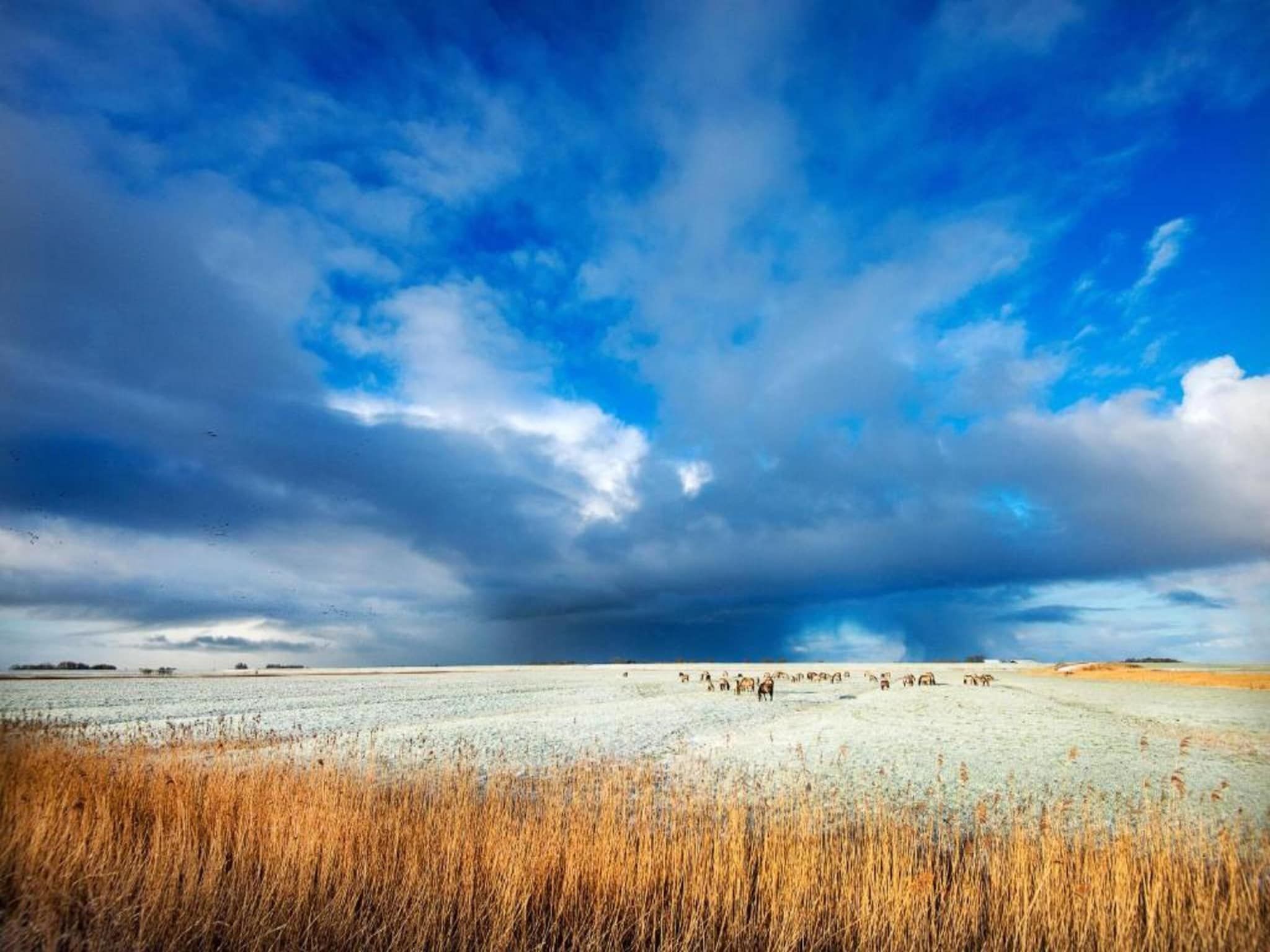 De omgeving van Grote Siege 44 in Anjum