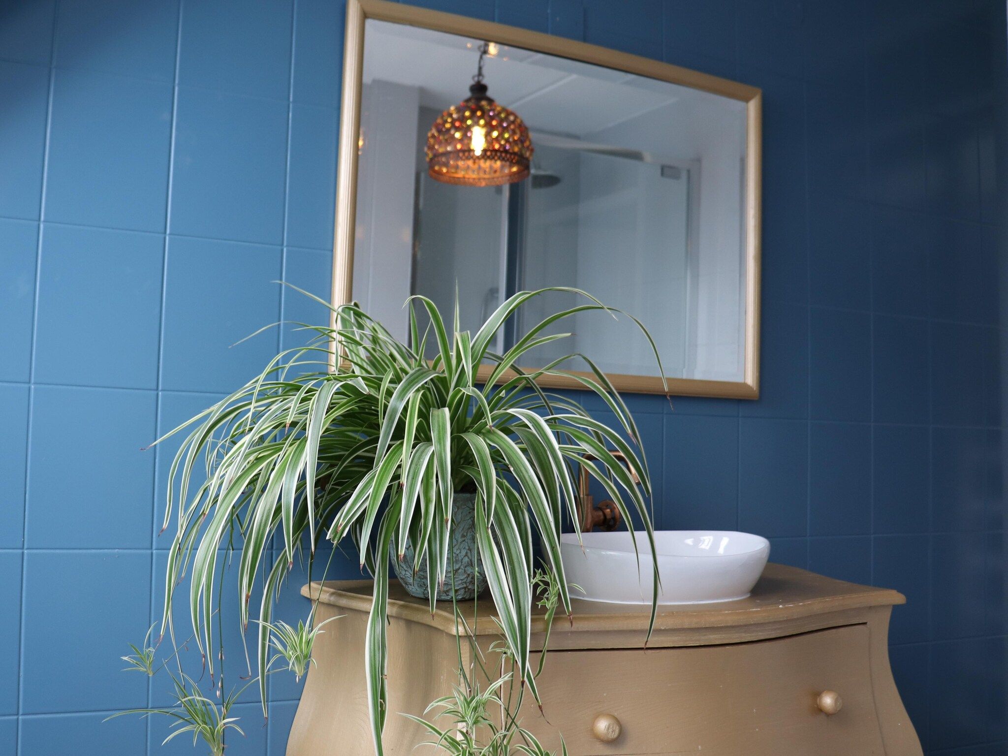 Sfeerbeeld van Vakantiehuis in zonnig Grou in Gou