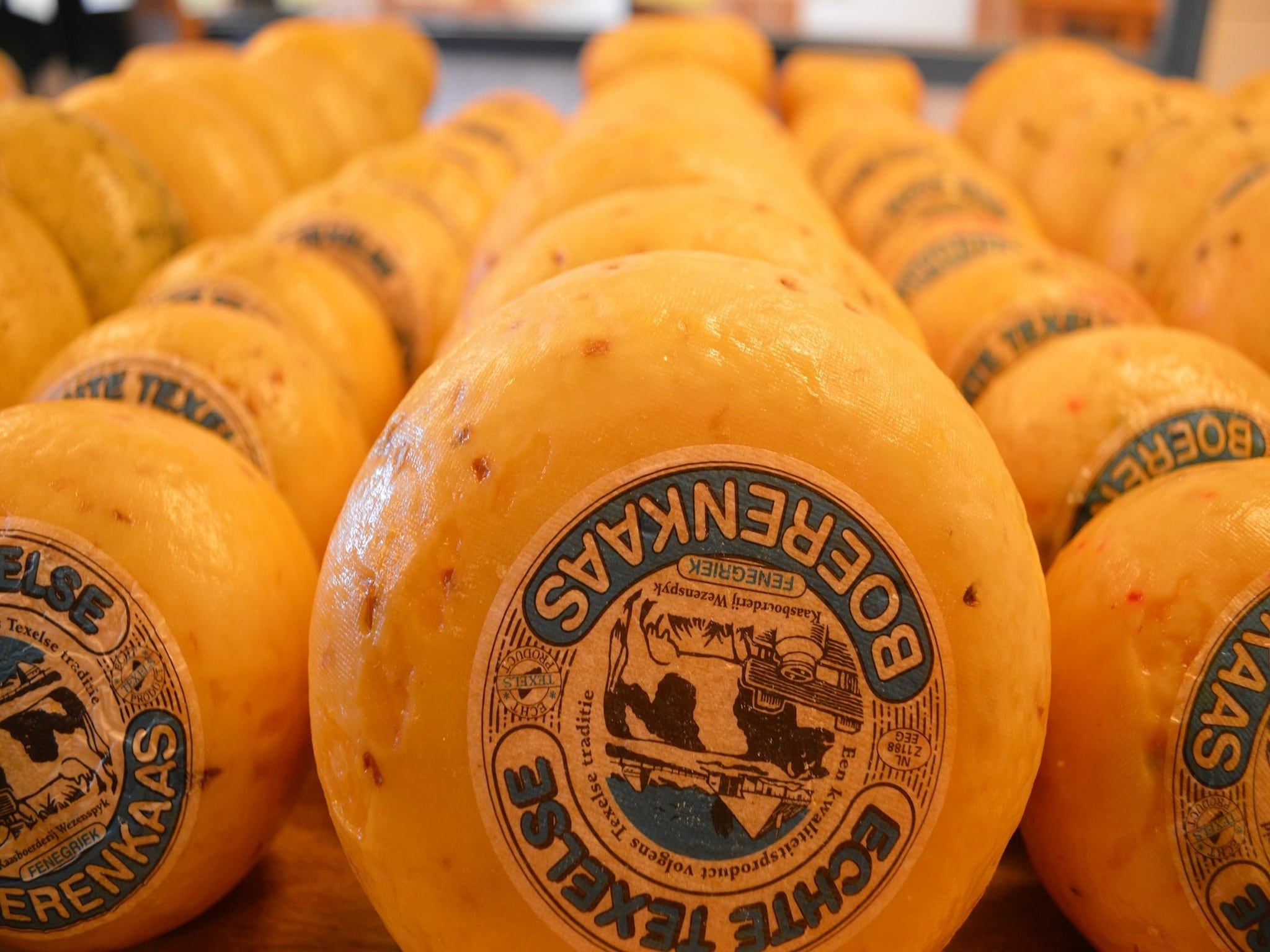 Vakantiepark 't Eibernest Texel 8 in De Cocksdorp - Foto 25 van 29