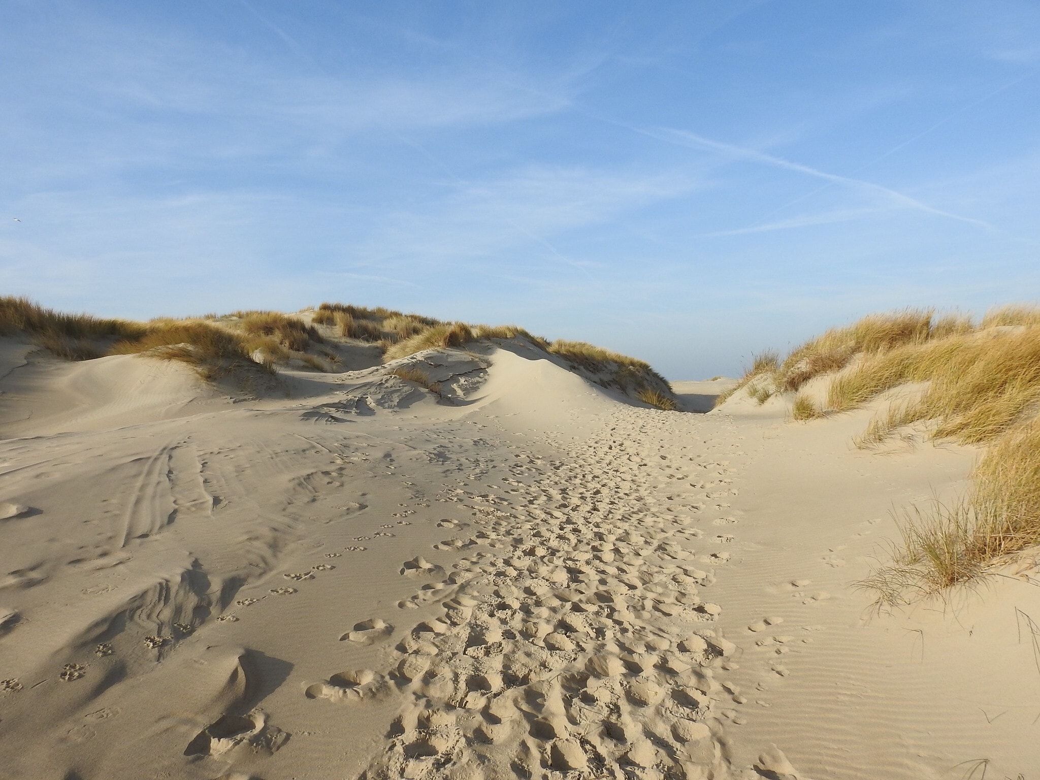 De omgeving van Vakantiepark 't Eibernest Texel 8 in De Cocksdorp