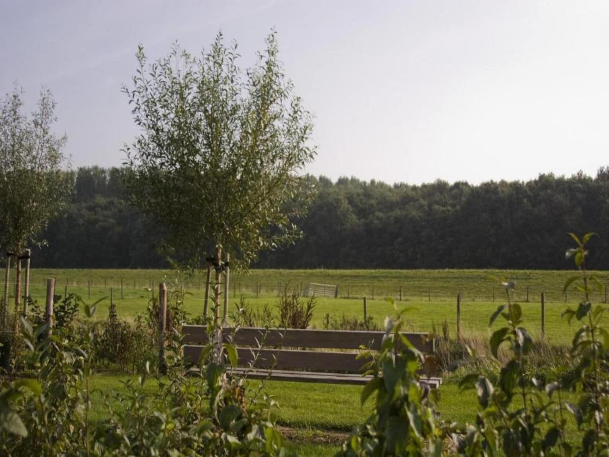 Water Resort Oosterschelde 83 in Wemeldinge - Foto 38 van 40