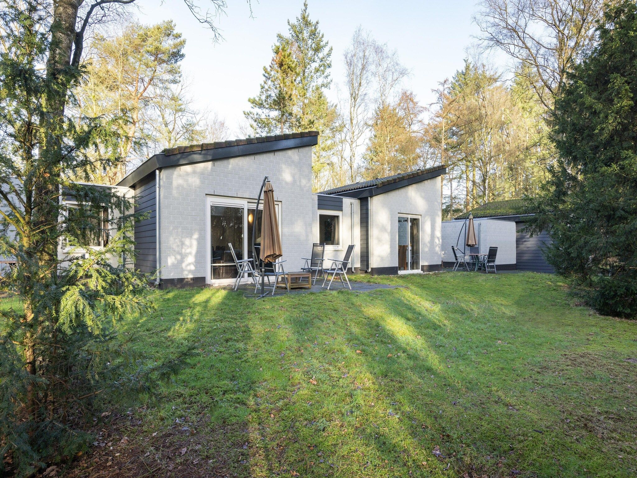 Het uitzicht vanaf Vakantiepark de Berkenhorst 16 in Kootwijk