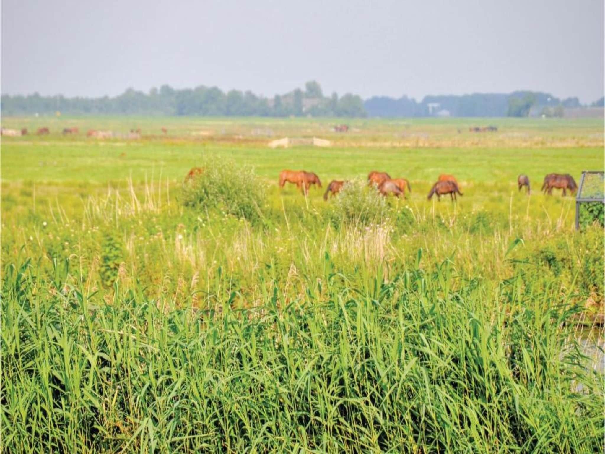 Yné Lijte 68 in Grou - Foto 31 van 40