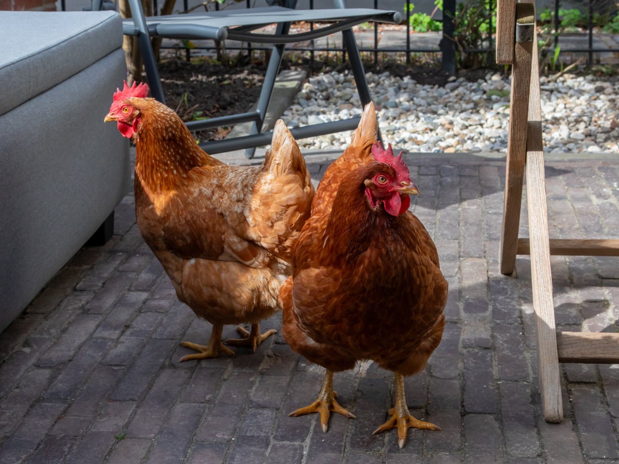 De tuin van Villa Querina in Koudekerke