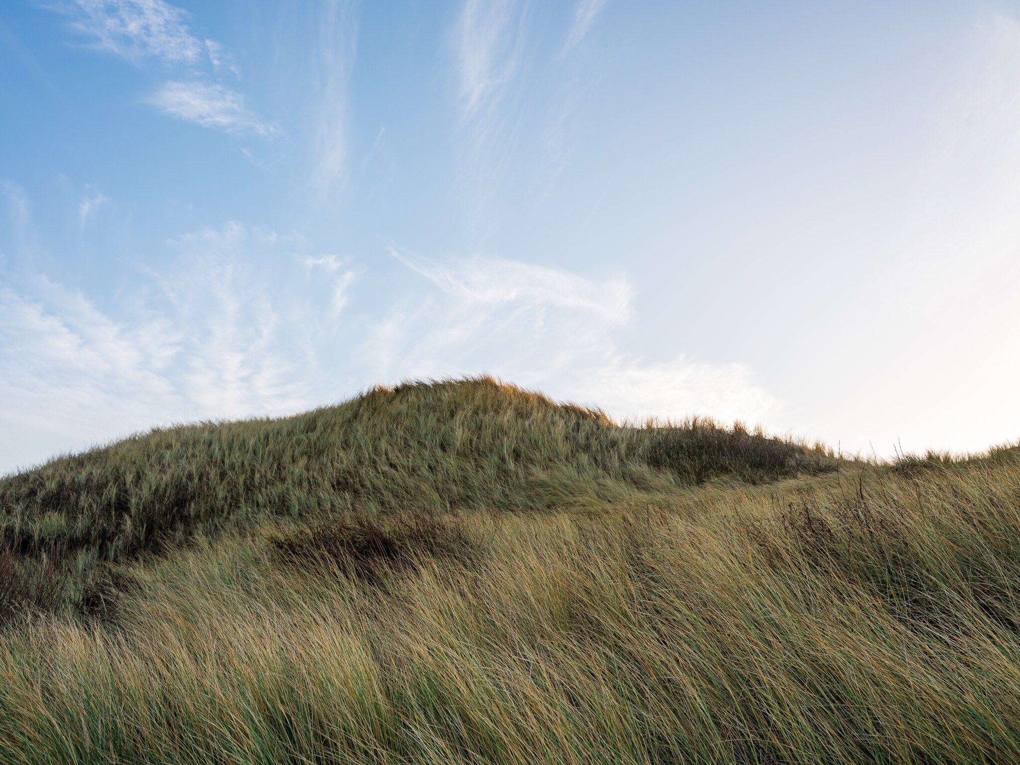 Sfeerbeeld van Loft Loopuyt in Julianadorp