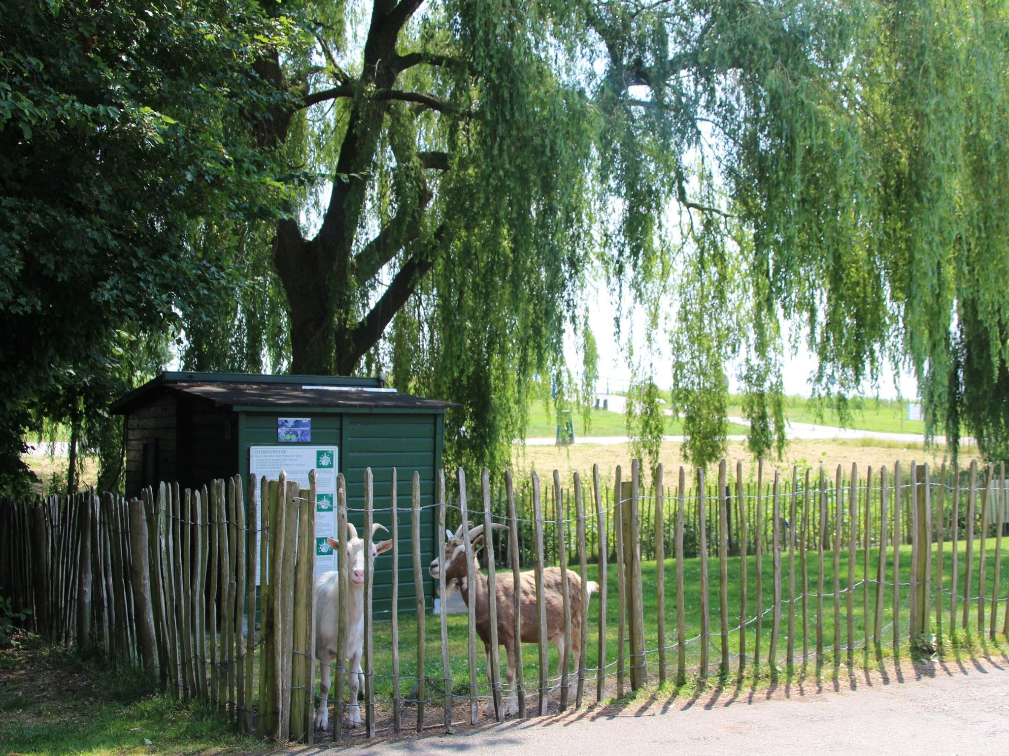 Parkfaciliteiten bij Comfort bungalow – Max 6 personen – nummer 56 in Zevenhuizen