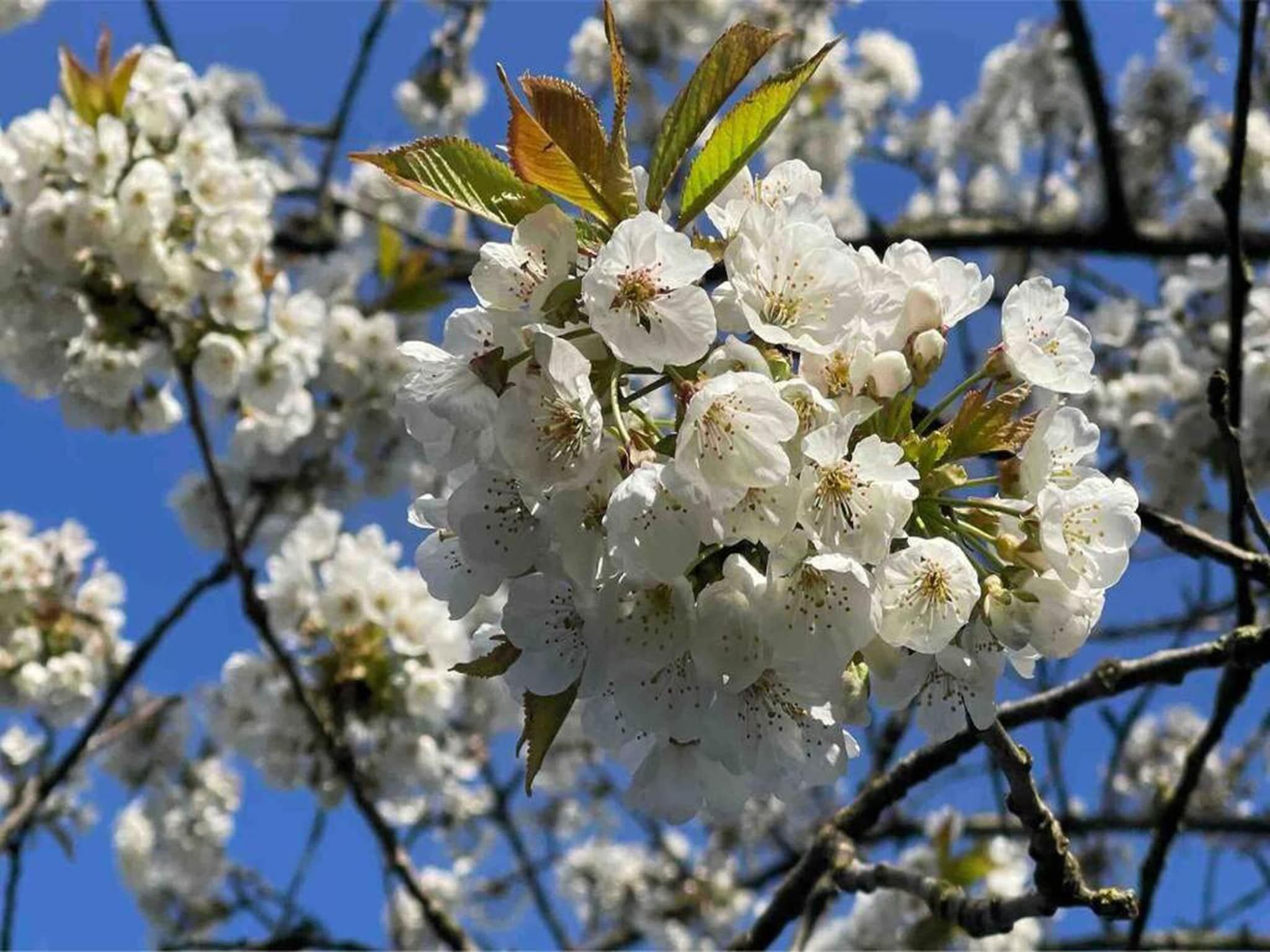 Waterpark Langelille 3 in Langelille - Foto 25 van 31