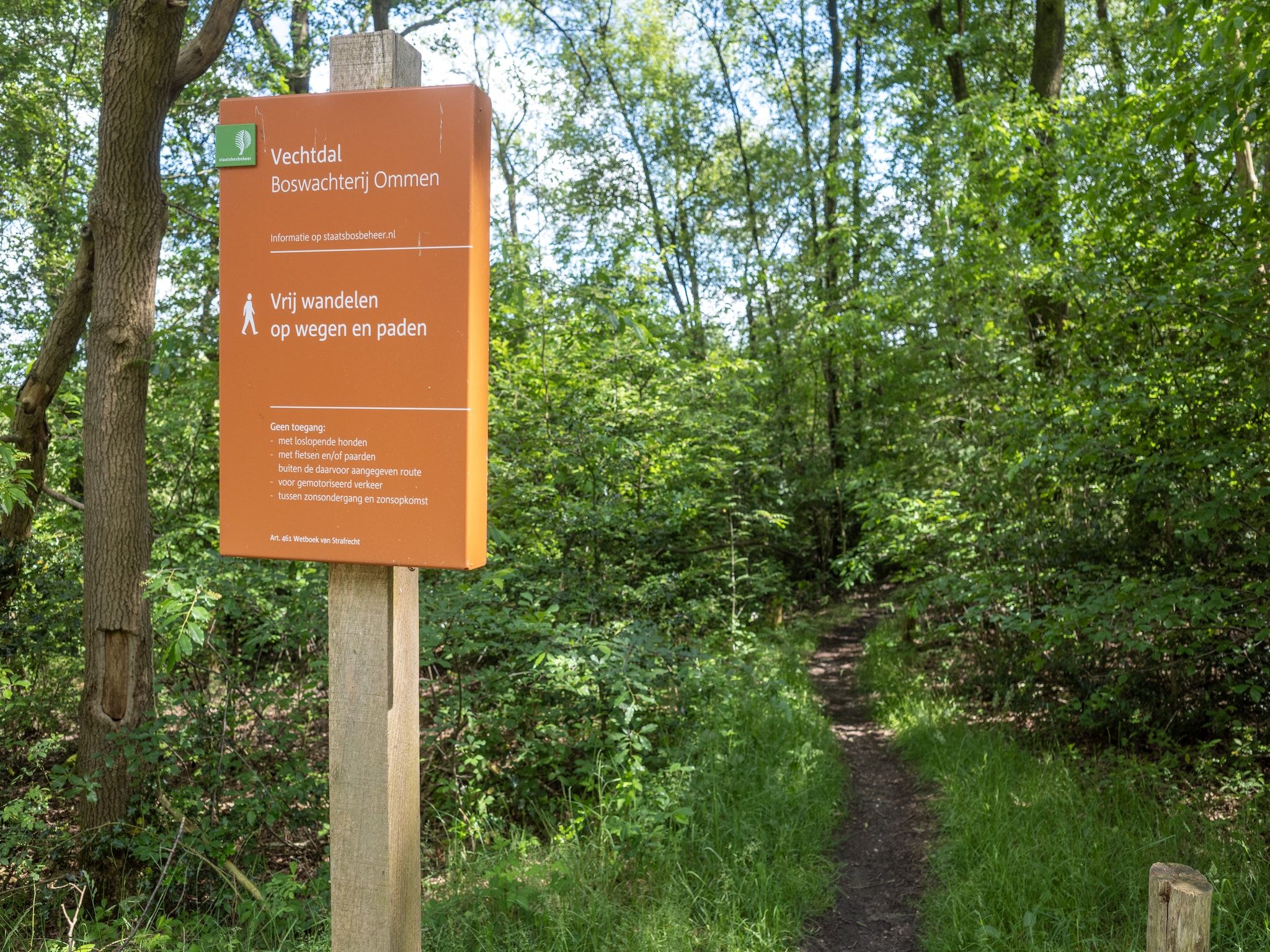 Huisje 60 Stegeren in Stegeren - Foto 33 van 35