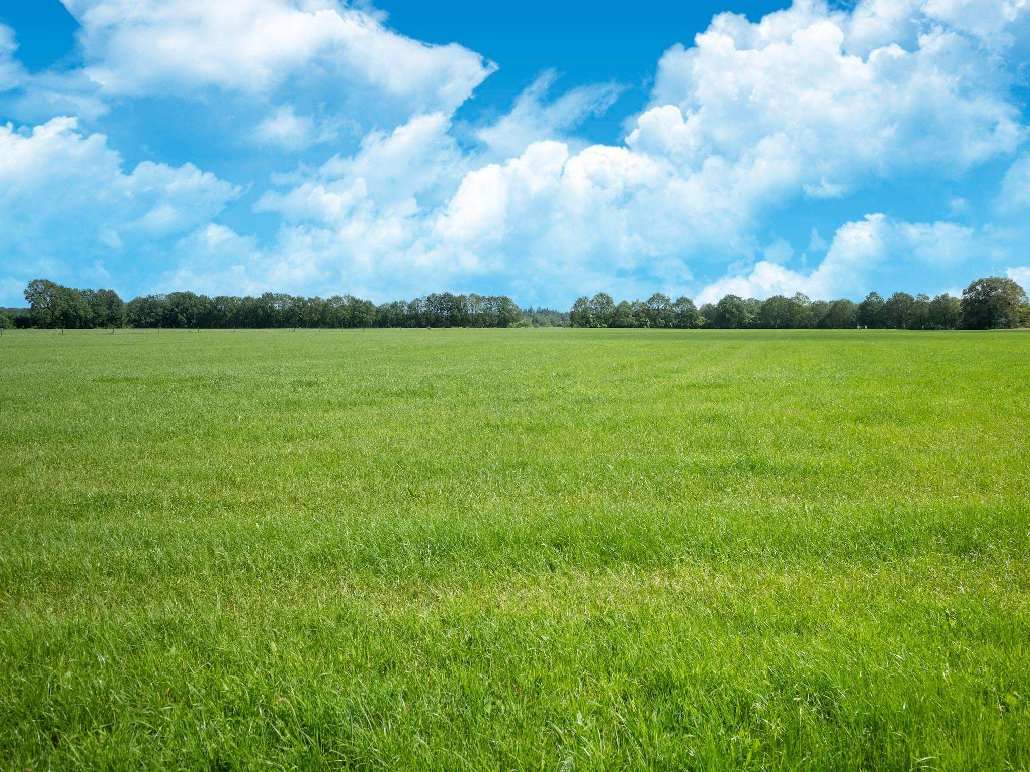 De omgeving van Huisje 60 Stegeren in Stegeren