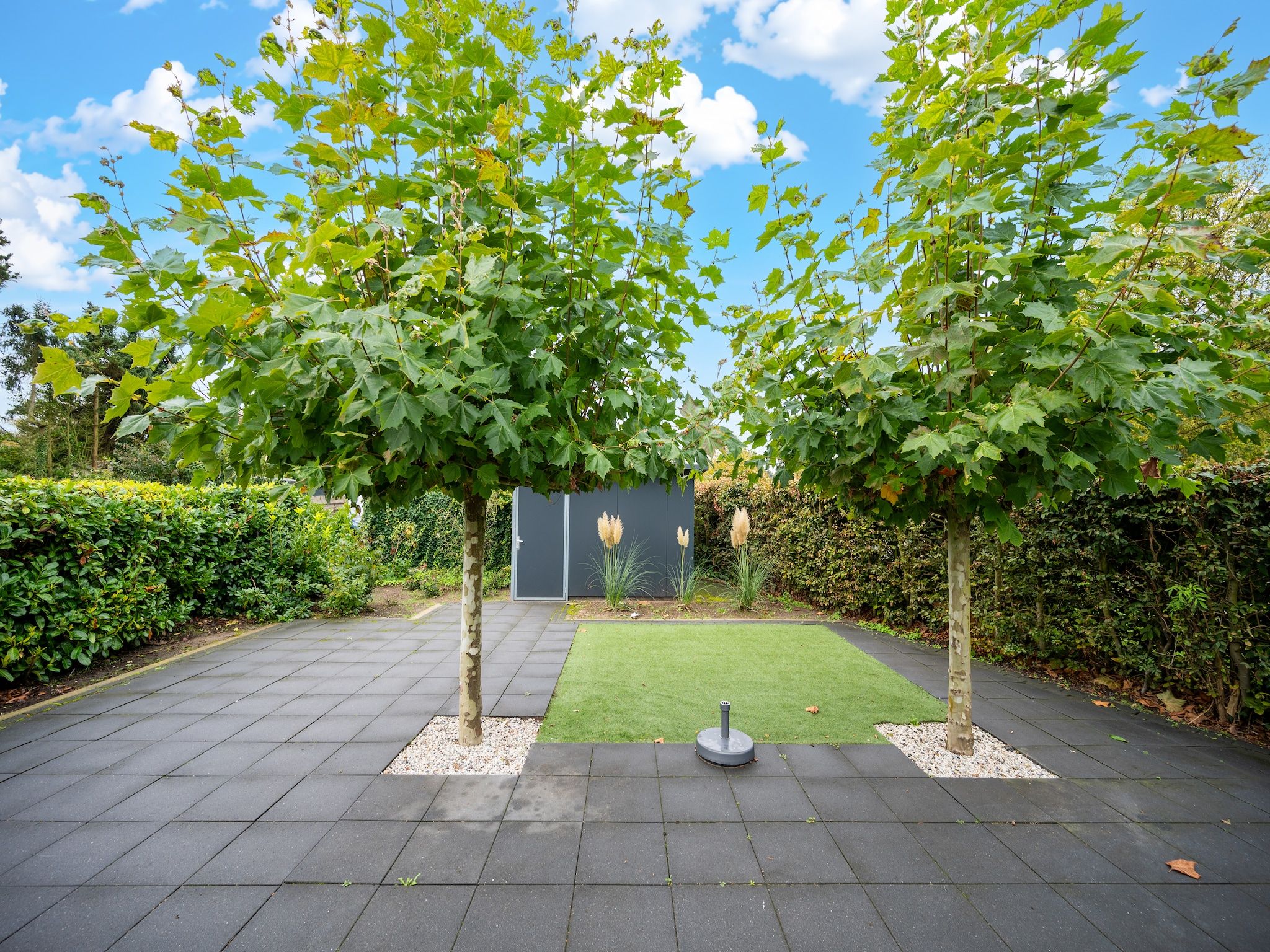 De tuin van Chalet 56 stegeren in Stegeren