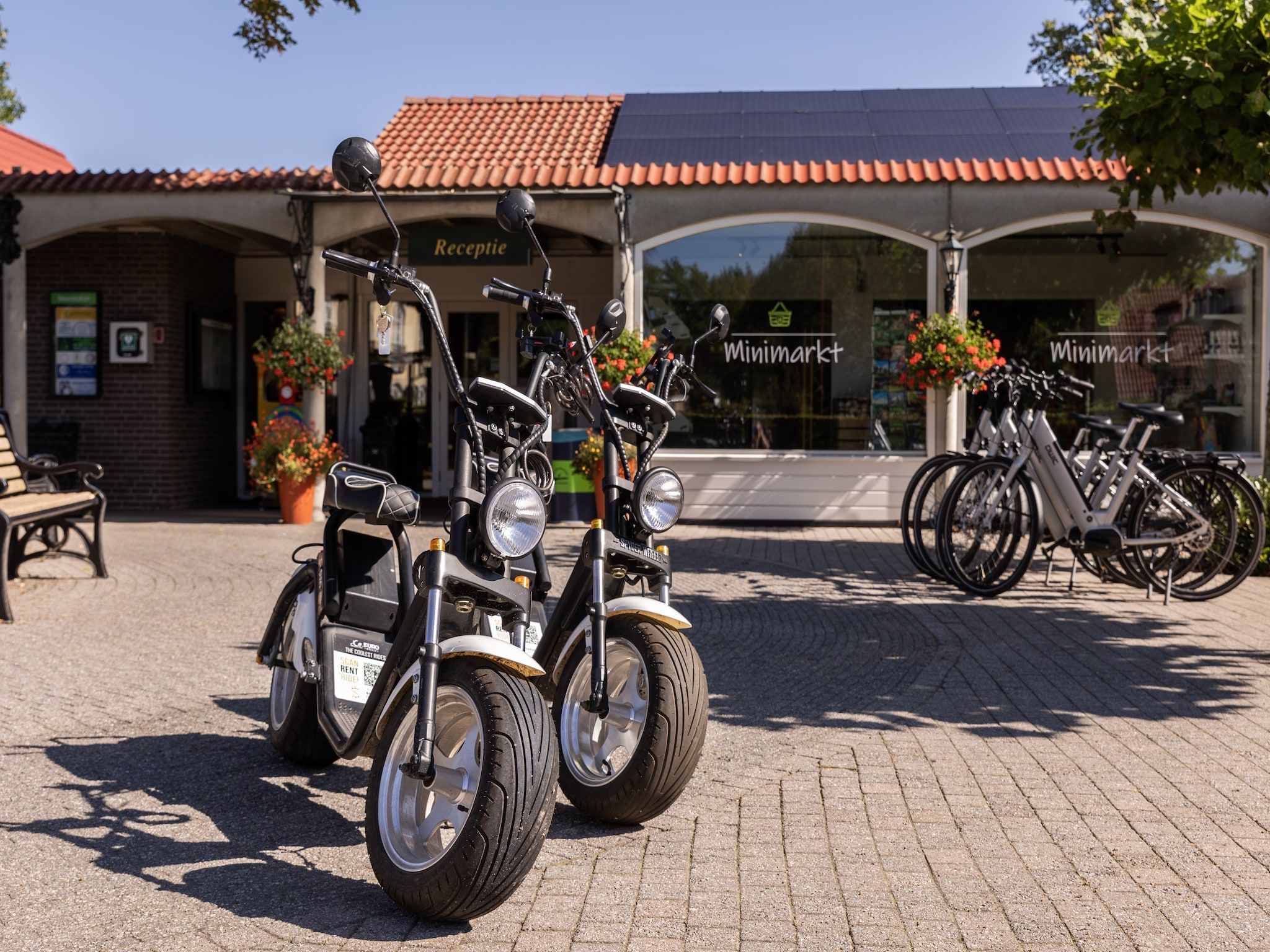 Parkfaciliteiten bij Parc Duc de Brabant 7 in Diessen-Baarschot