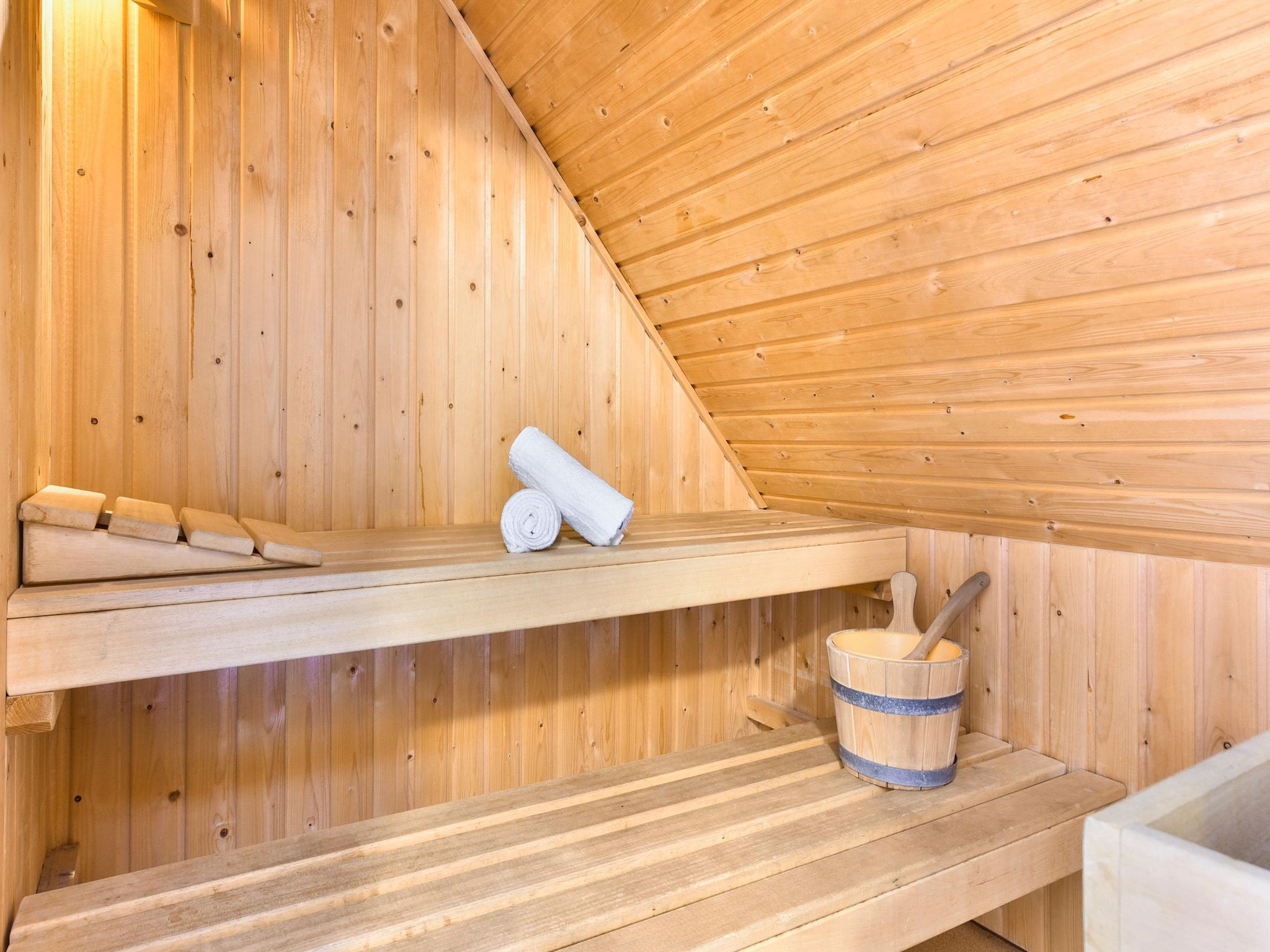 Wellness bij Parc Duc de Brabant 12 in Diessen-Baarschot