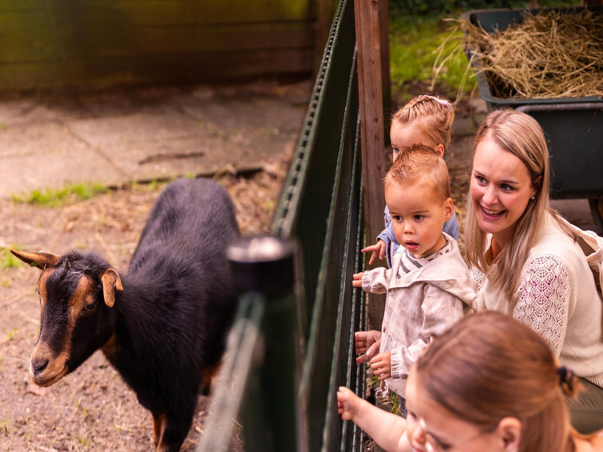 Parkfaciliteiten bij Parc Heihaas 2 in Putten
